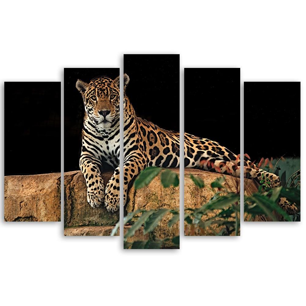 5 stykke lærredsprint Leopard Panther Cat Animal