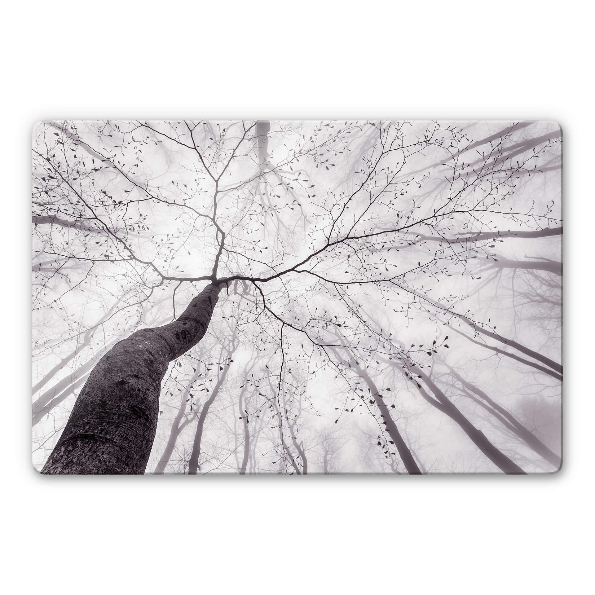 Tableau en verre Pavlasek - Vers la cime des arbres