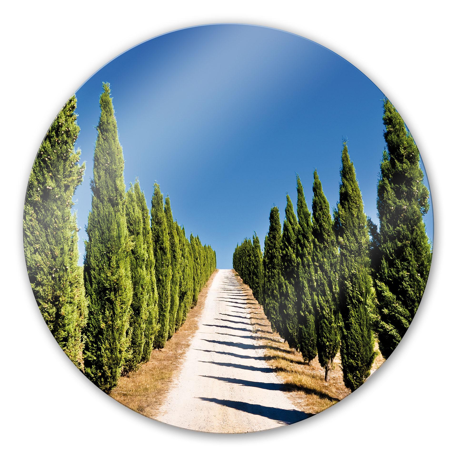 Glasschilderijen Cypress Road - Rond