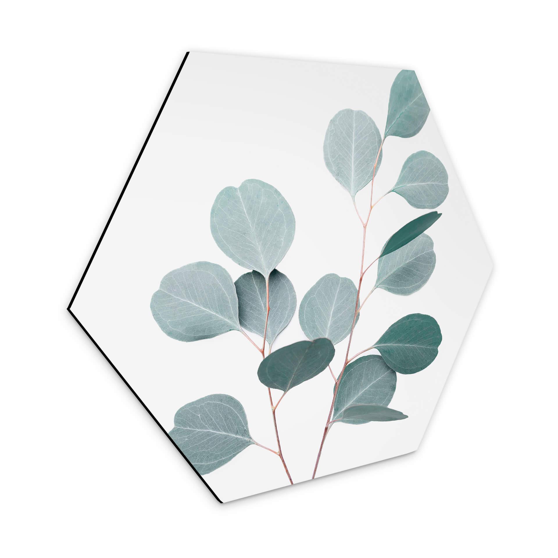 Hexagone - Tableau en alu-Dibond Sisi & Seb - Eucalyptus bleu