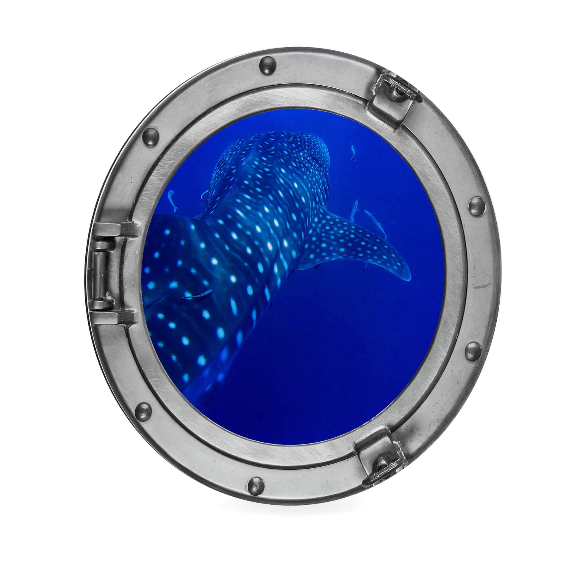 Alu-Dibond 3D-Optik Bullauge - Der Walhai - Rund