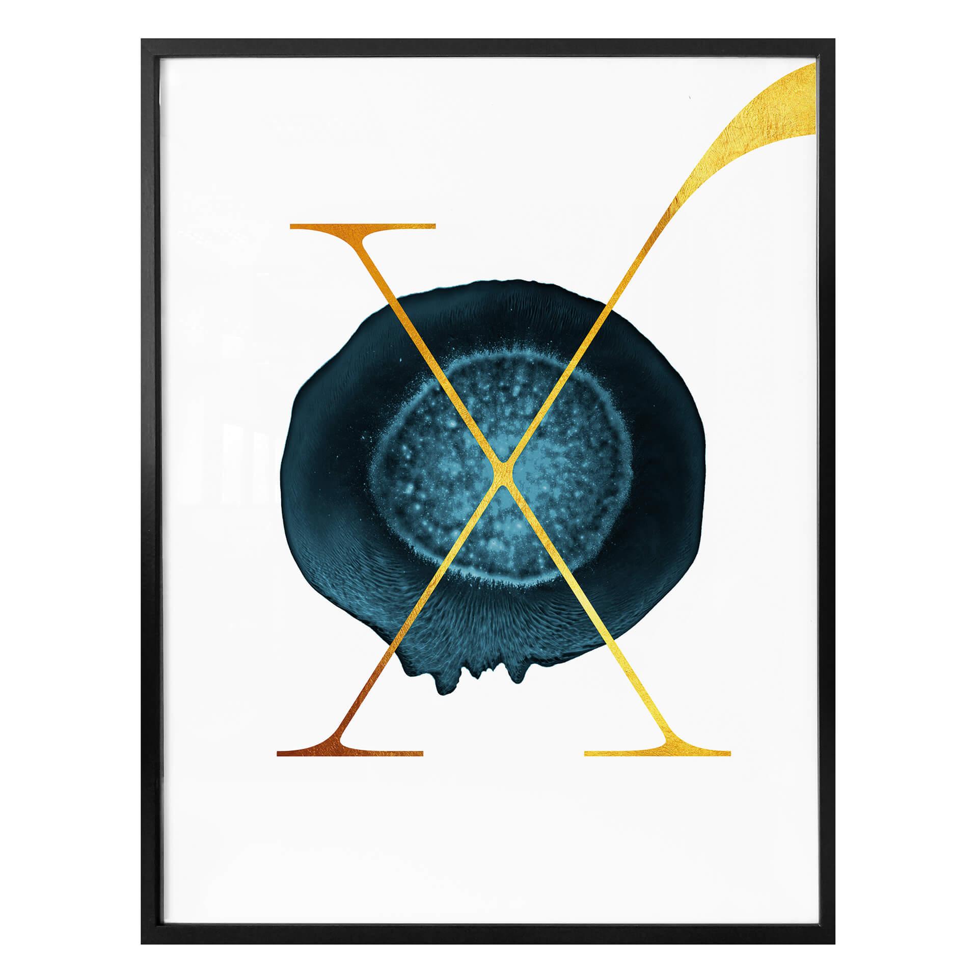 Affiche - Le X doré