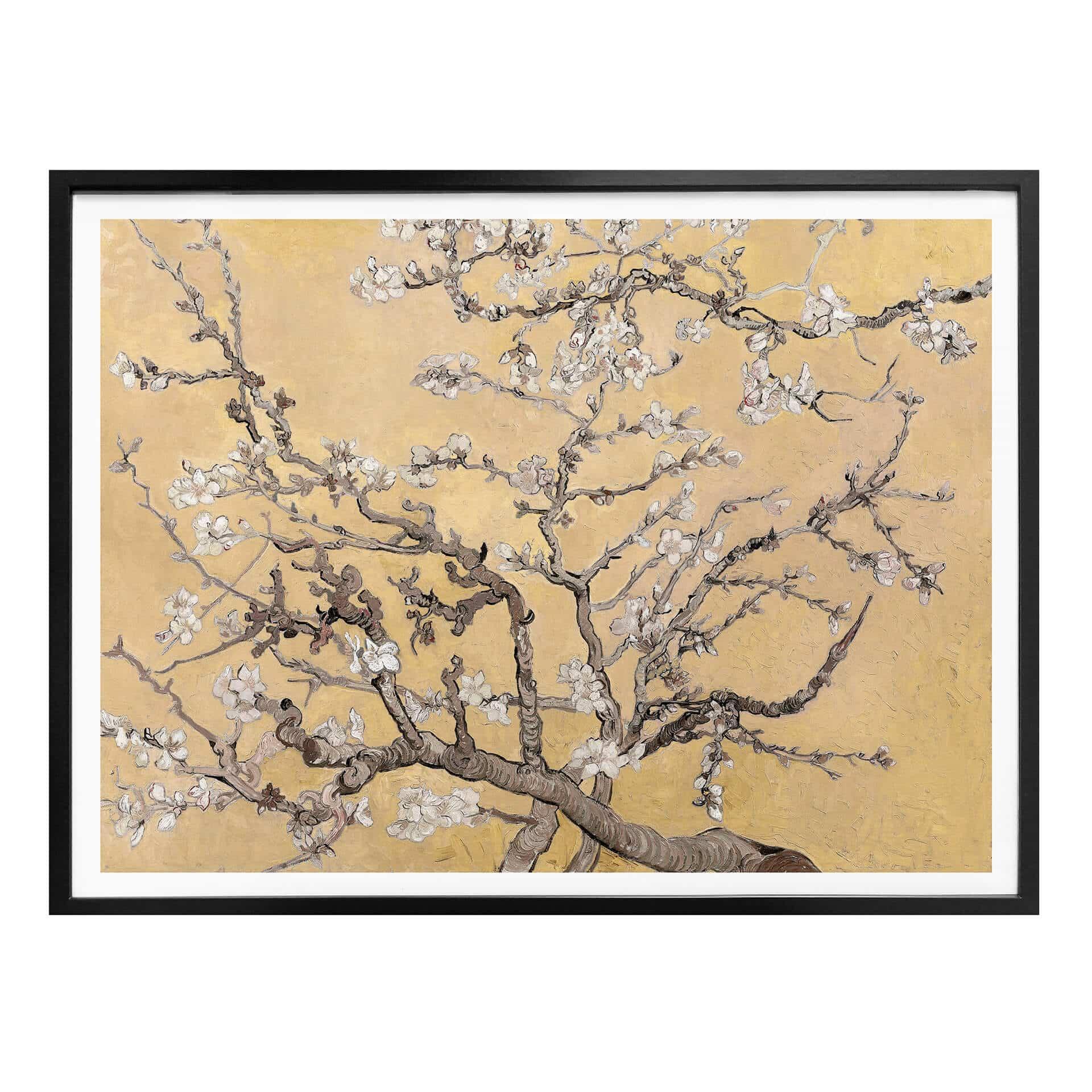 Poster van Gogh - Mandelblommig kräm