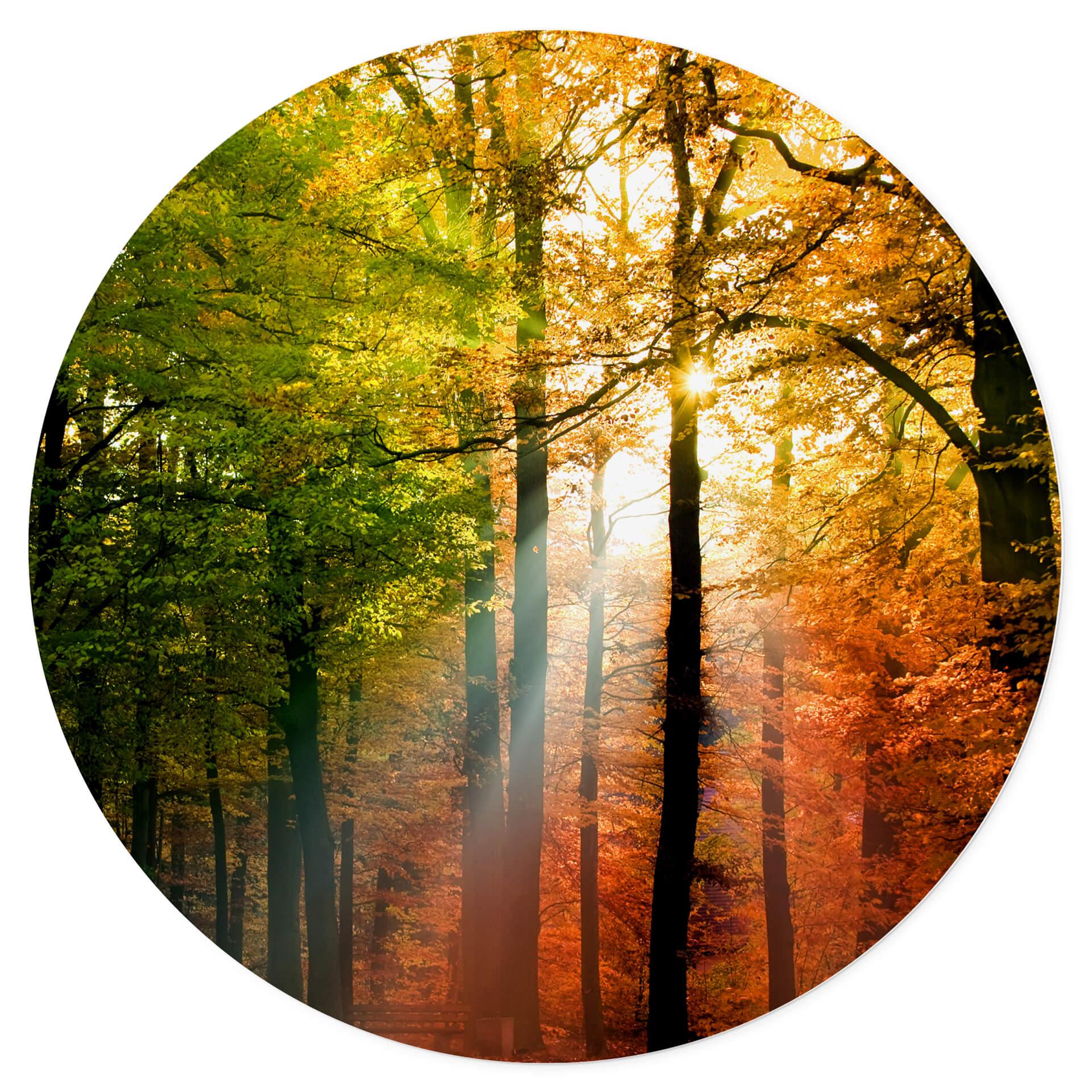 Muursticker rond - Gouden Herfst