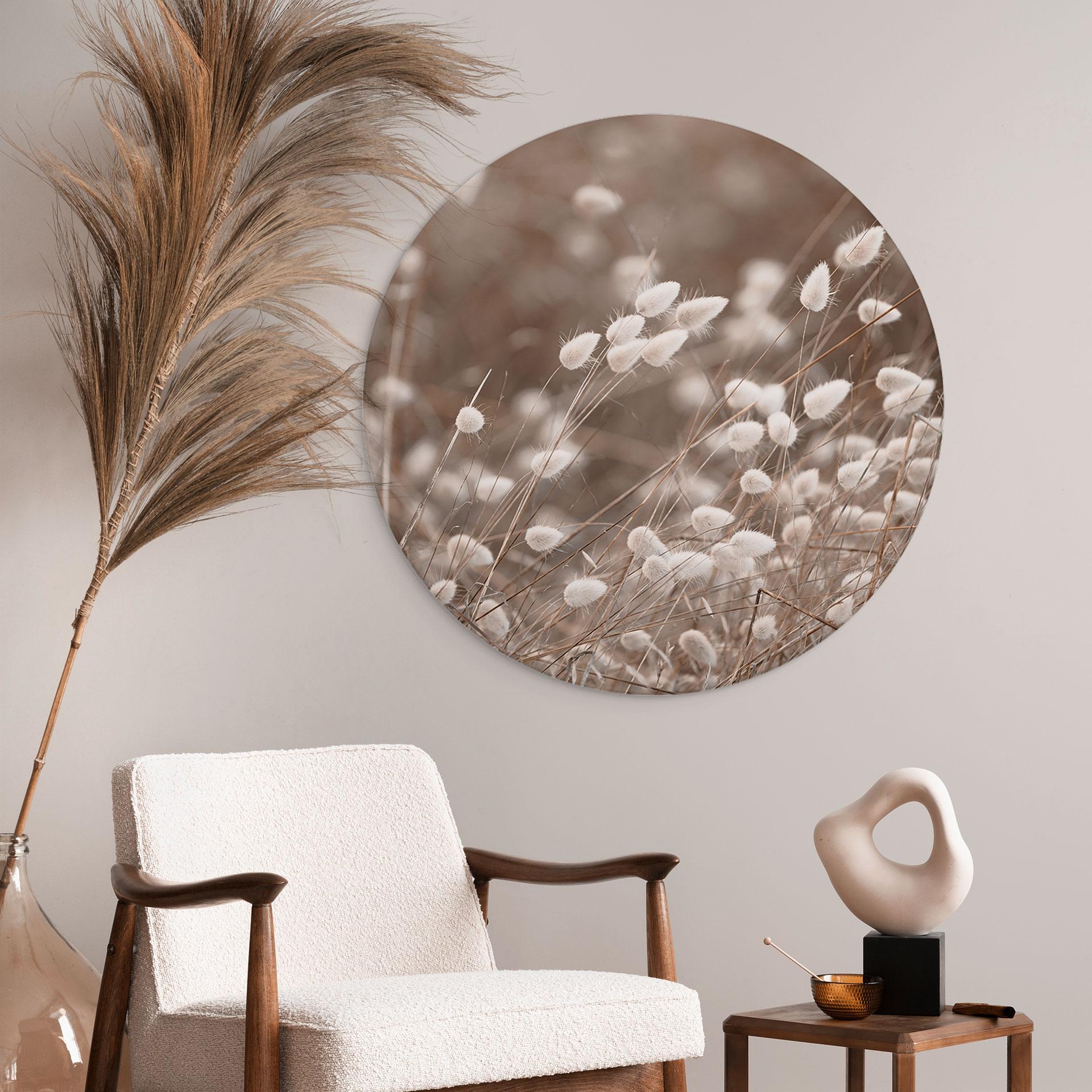 Wandbild Zarte Gräser im Herbstlicht - Collins - Alu-Dibond - Rund