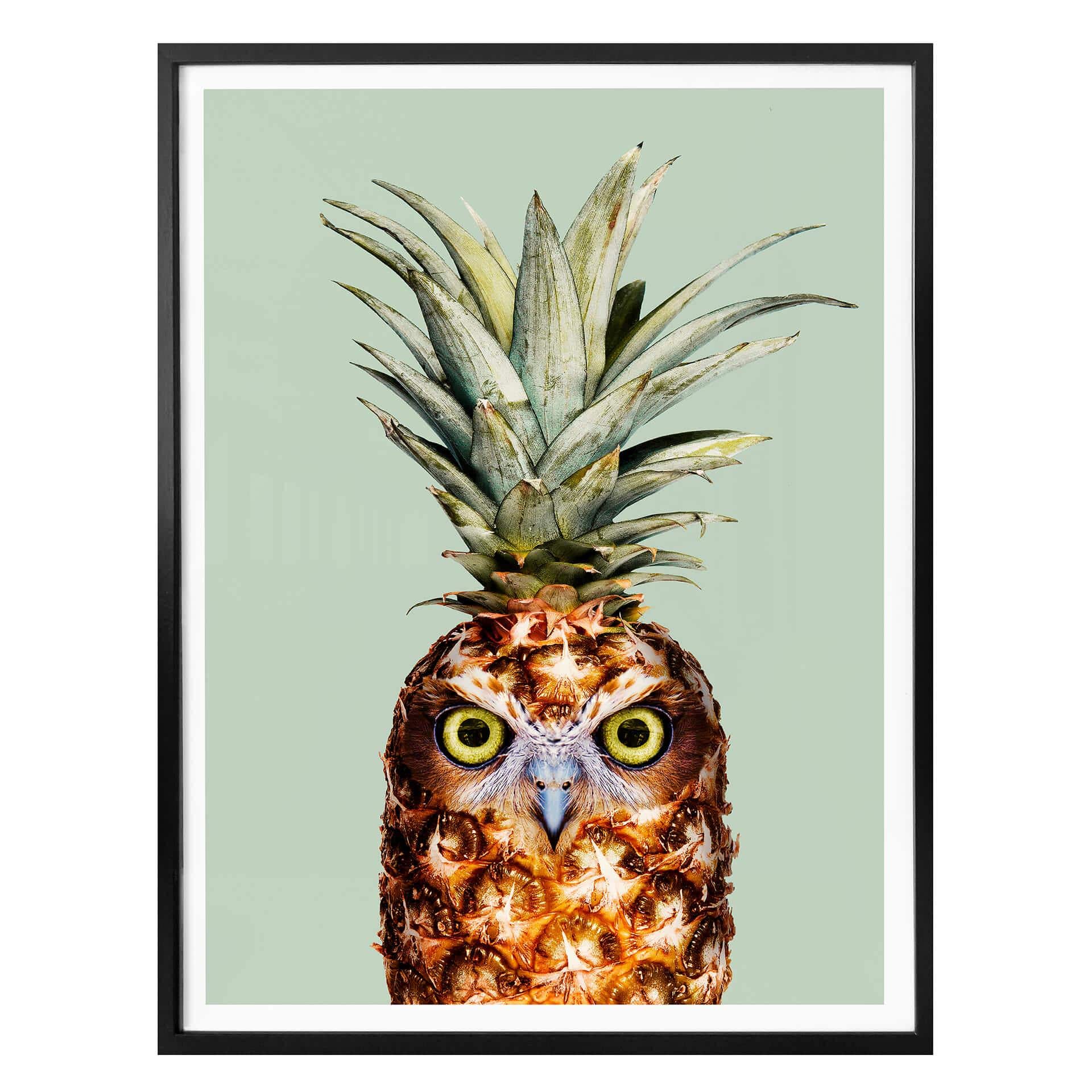 Plakat - Loose - Ananasugle