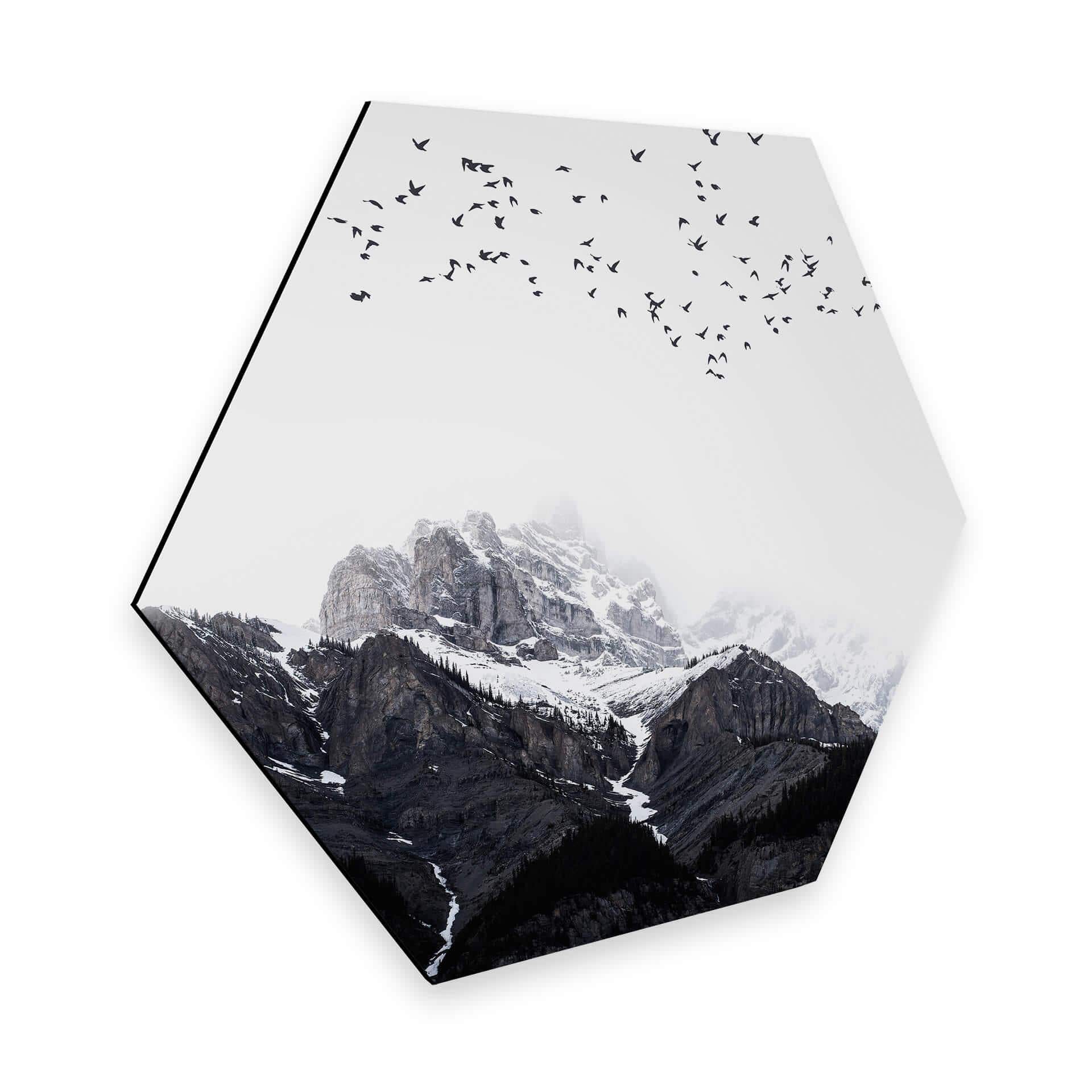 Hexagone - Alu-Dibond Kubistika - En haut des montagnes
