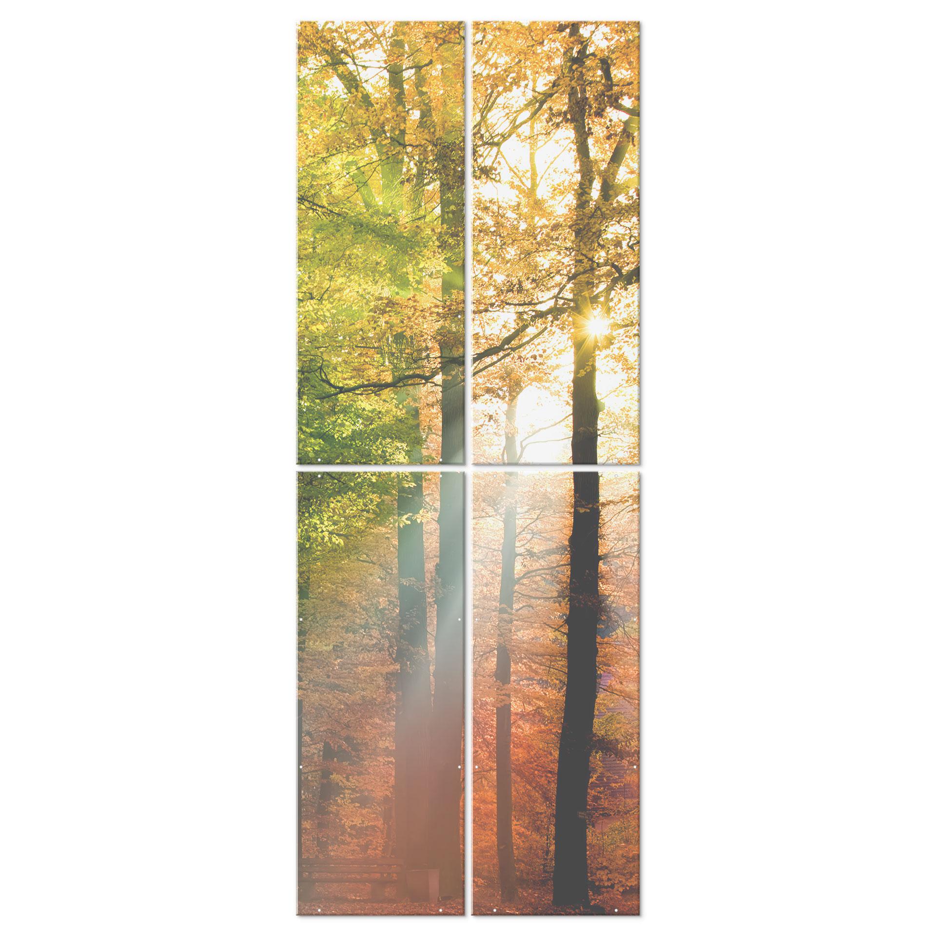 Divisorio, schermo, schermo appeso per la privacy Foresta dorata d'autunno