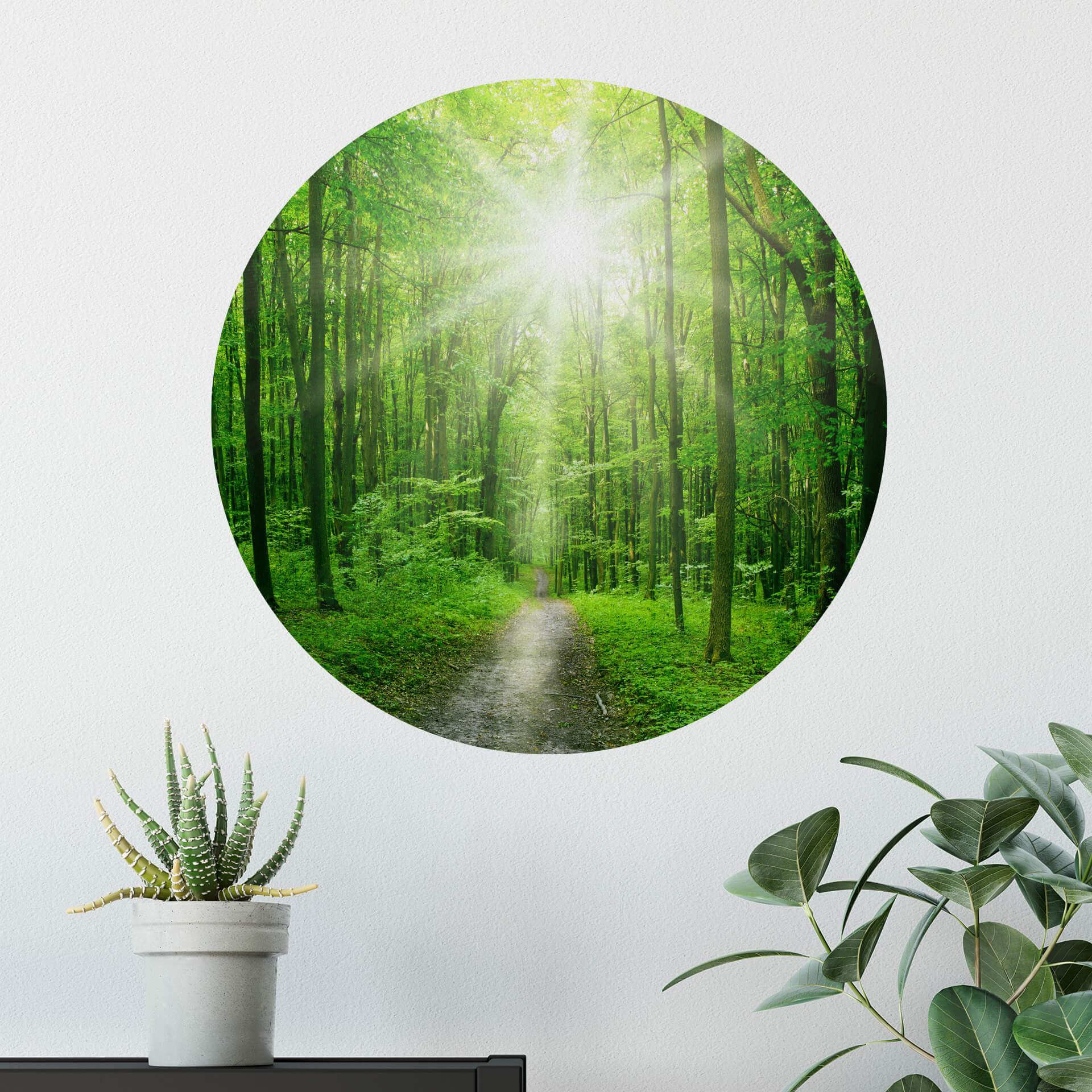 Muursticker rond Sunny Forest