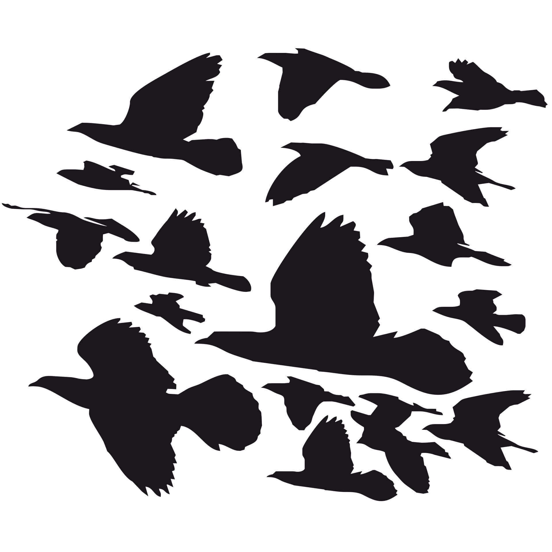 Wandtattoo Zugvögel