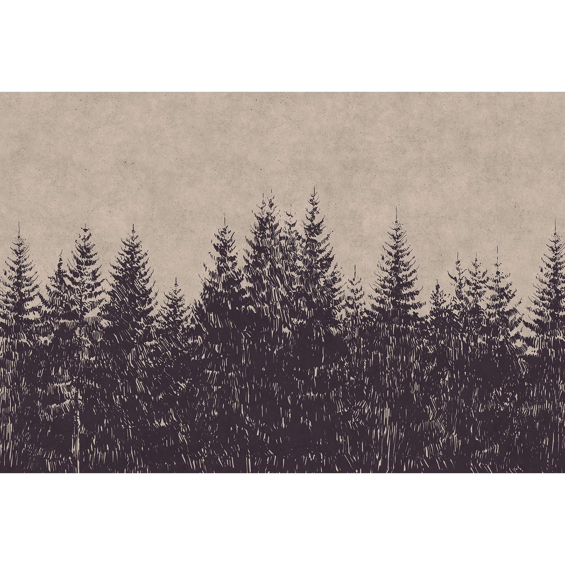 Livingwalls Fotobehang Walls by Patel black forest 1