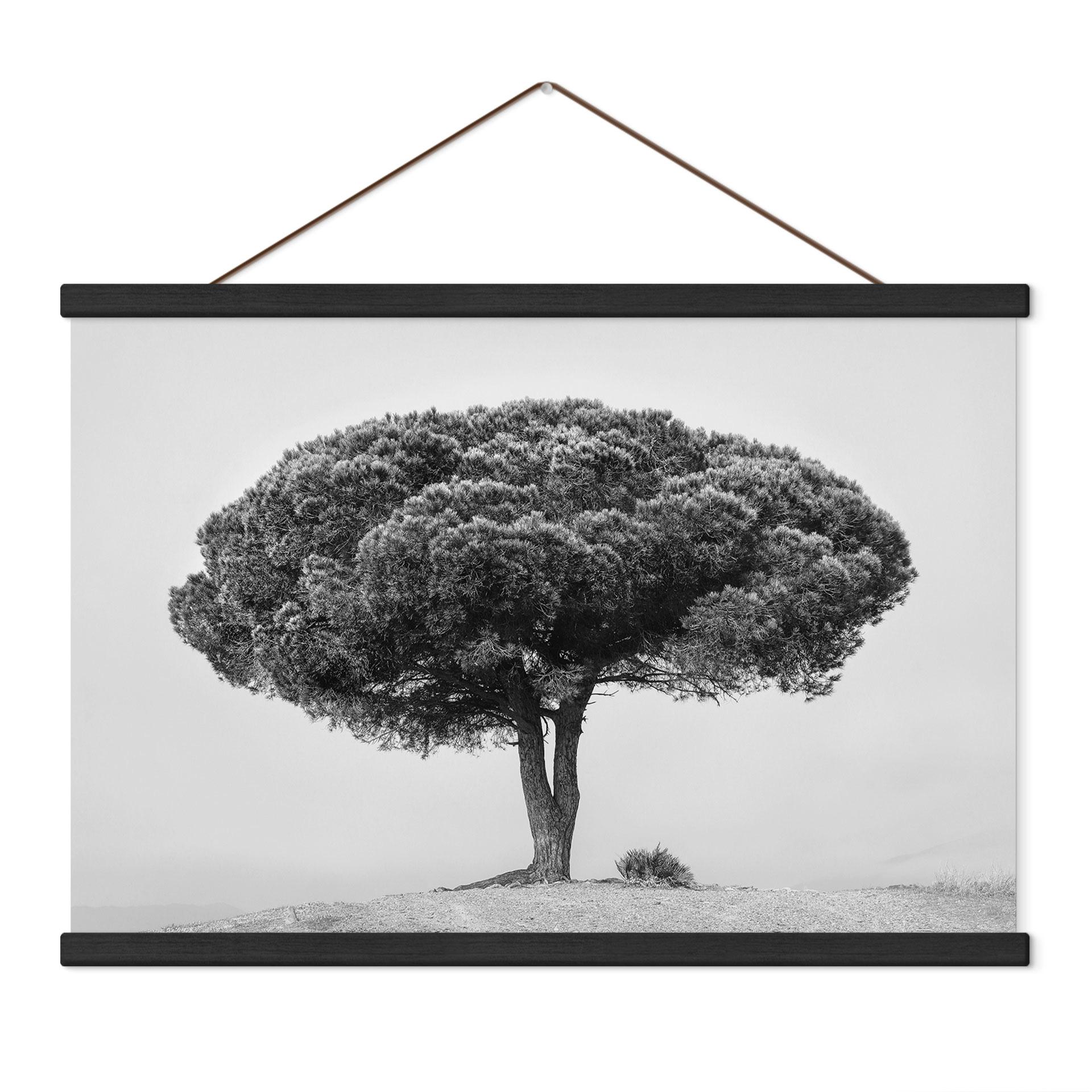 Textielposter Boom in zwart-wit - Martin
