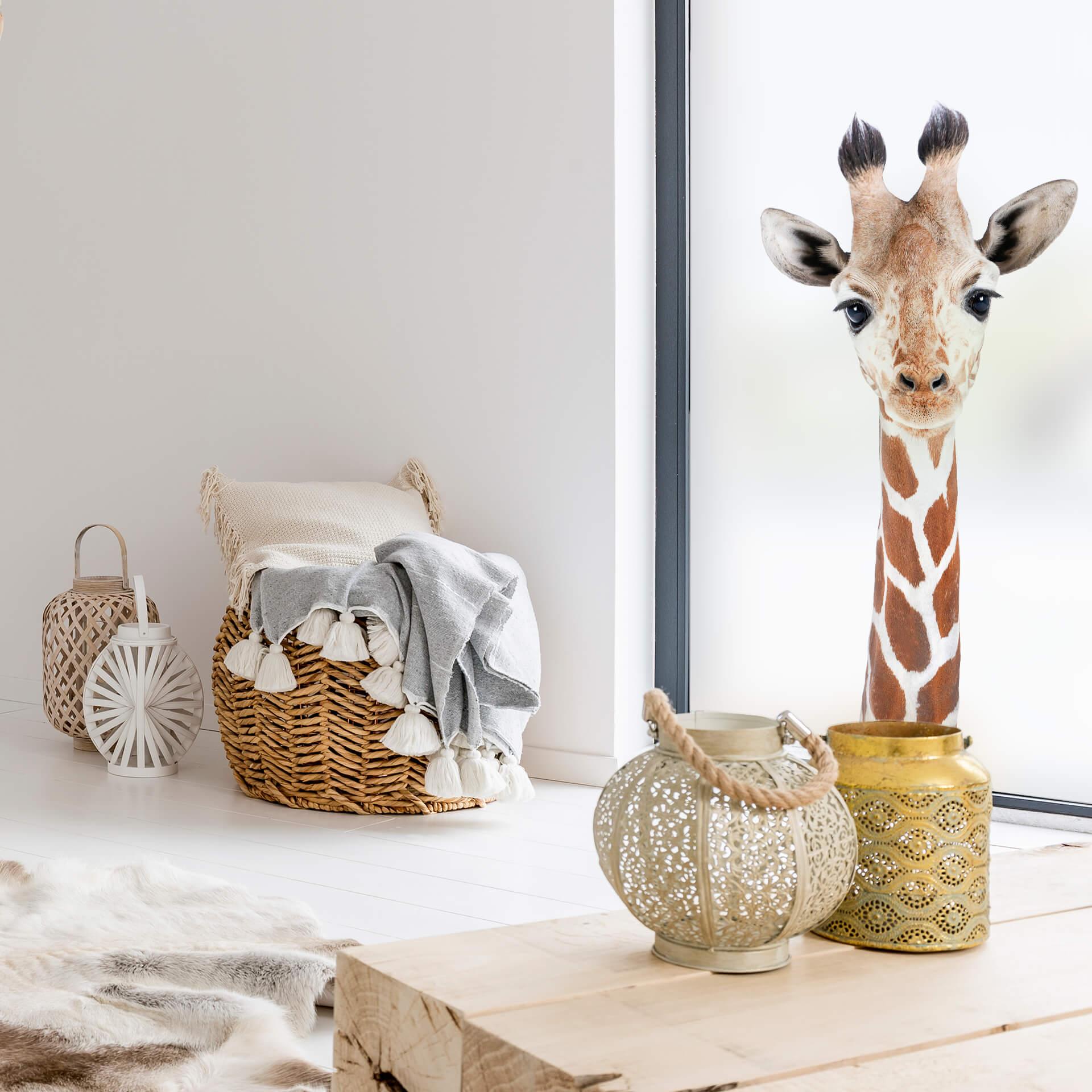 Sichtschutzfolie Sisi & Seb - Baby Giraffe