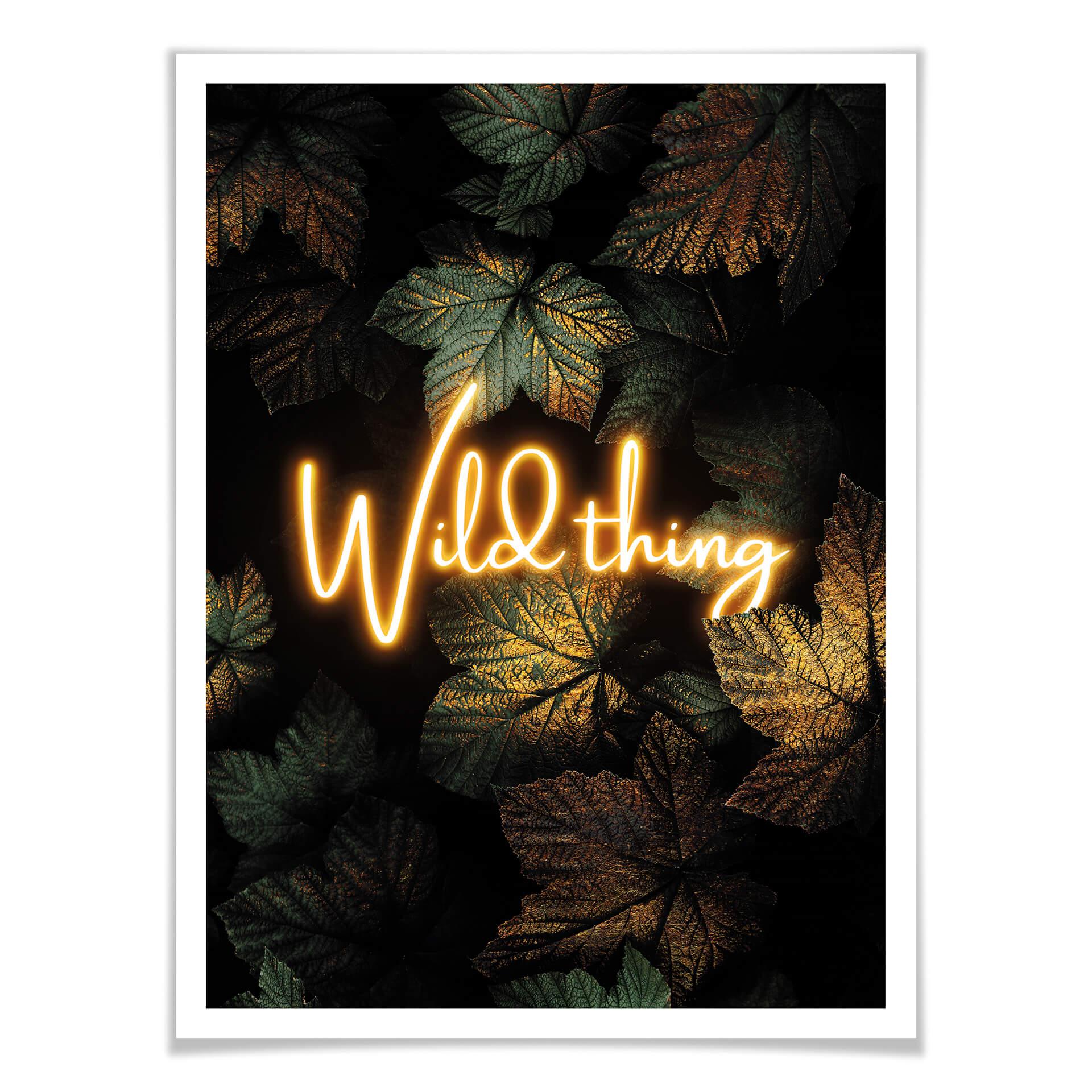 Plakat - Frederiksson - Wild Thing