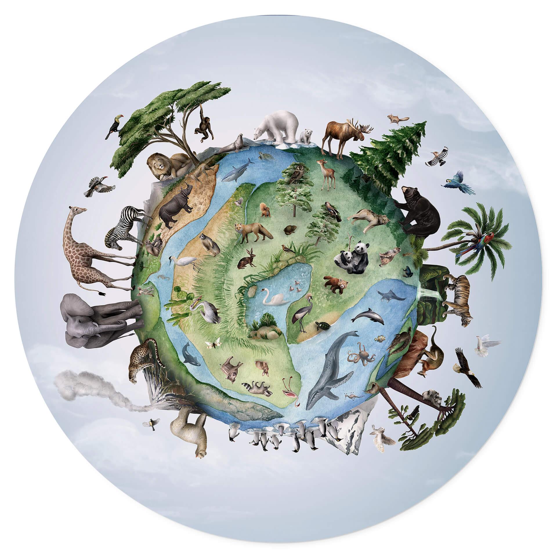 Wandtattoo Kikki Belle - Welt der Tiere - Rund