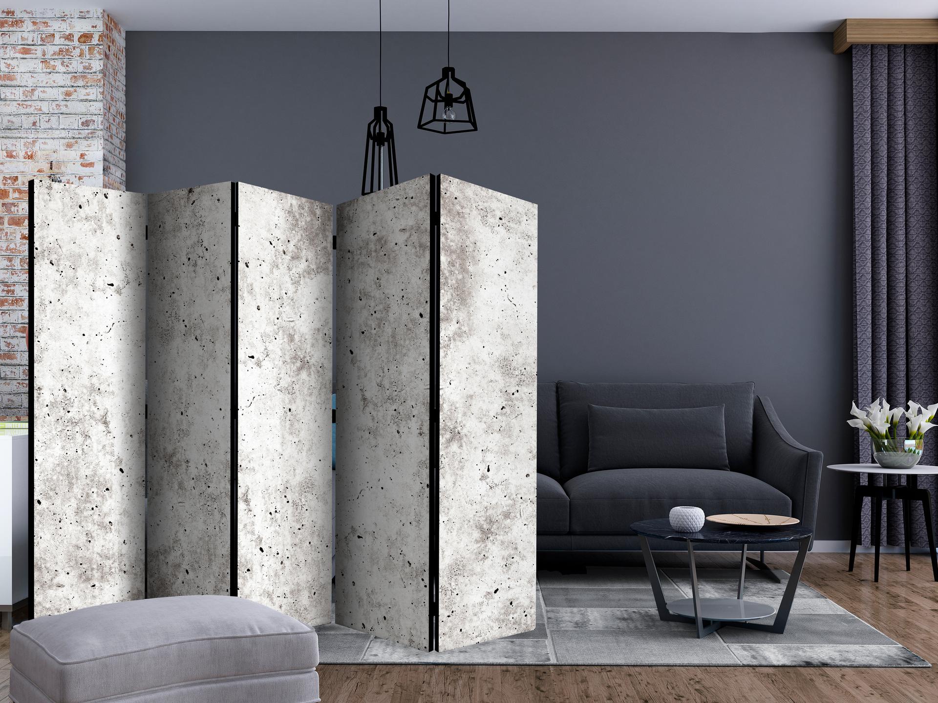 Parete divisoria - Stile urbano: cemento, 5 pezzi - 225x172 cm