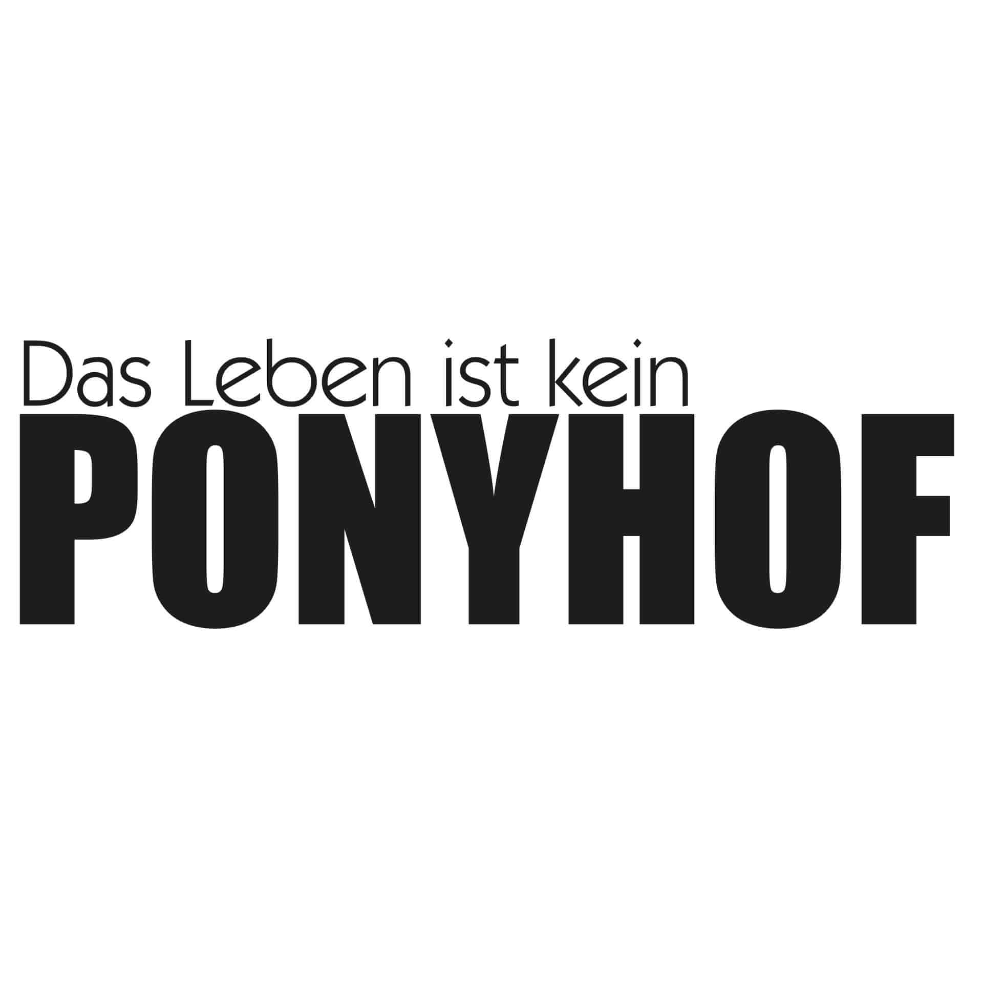 Wandtattoo Das Leben ist kein Ponyhof 3