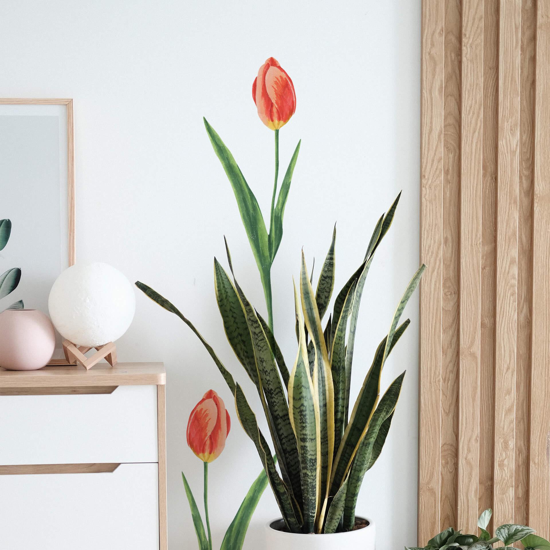 Muursticker Rode Tulp