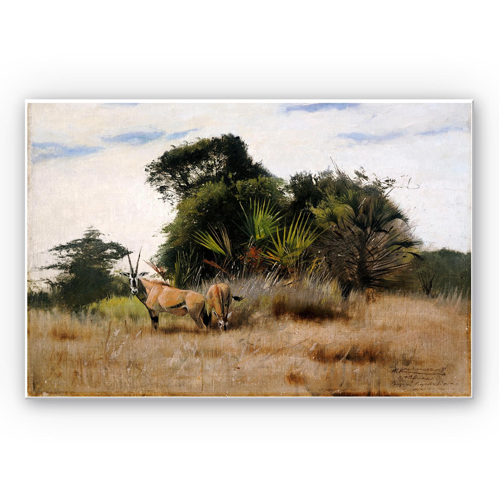Tableau Forex - Kuhnert - Antilopes