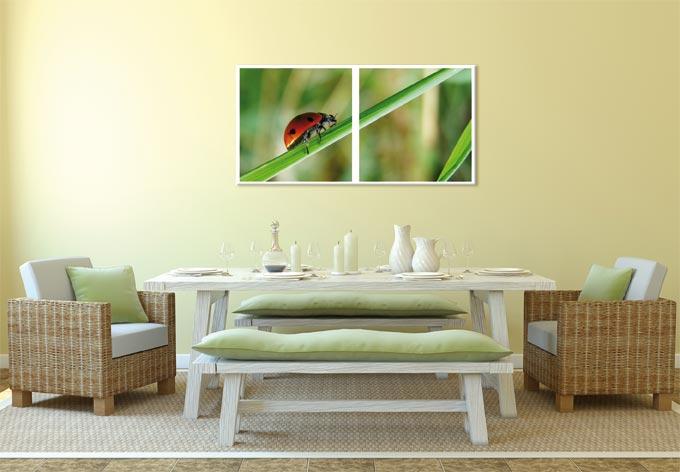 Zelfklevende Poster - Lieveheersbeestjes