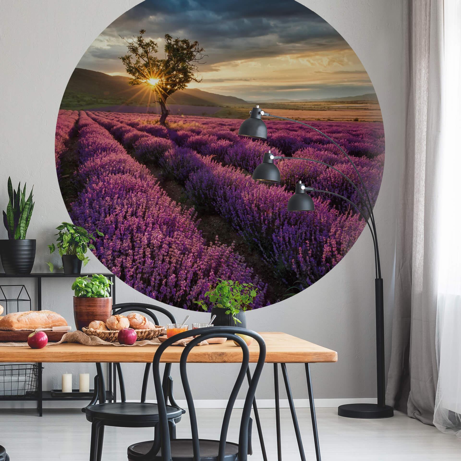 Fototapet - Rundt Lavendelblomster i Provence - vliesetapet/selvklæbende non-woven tapet