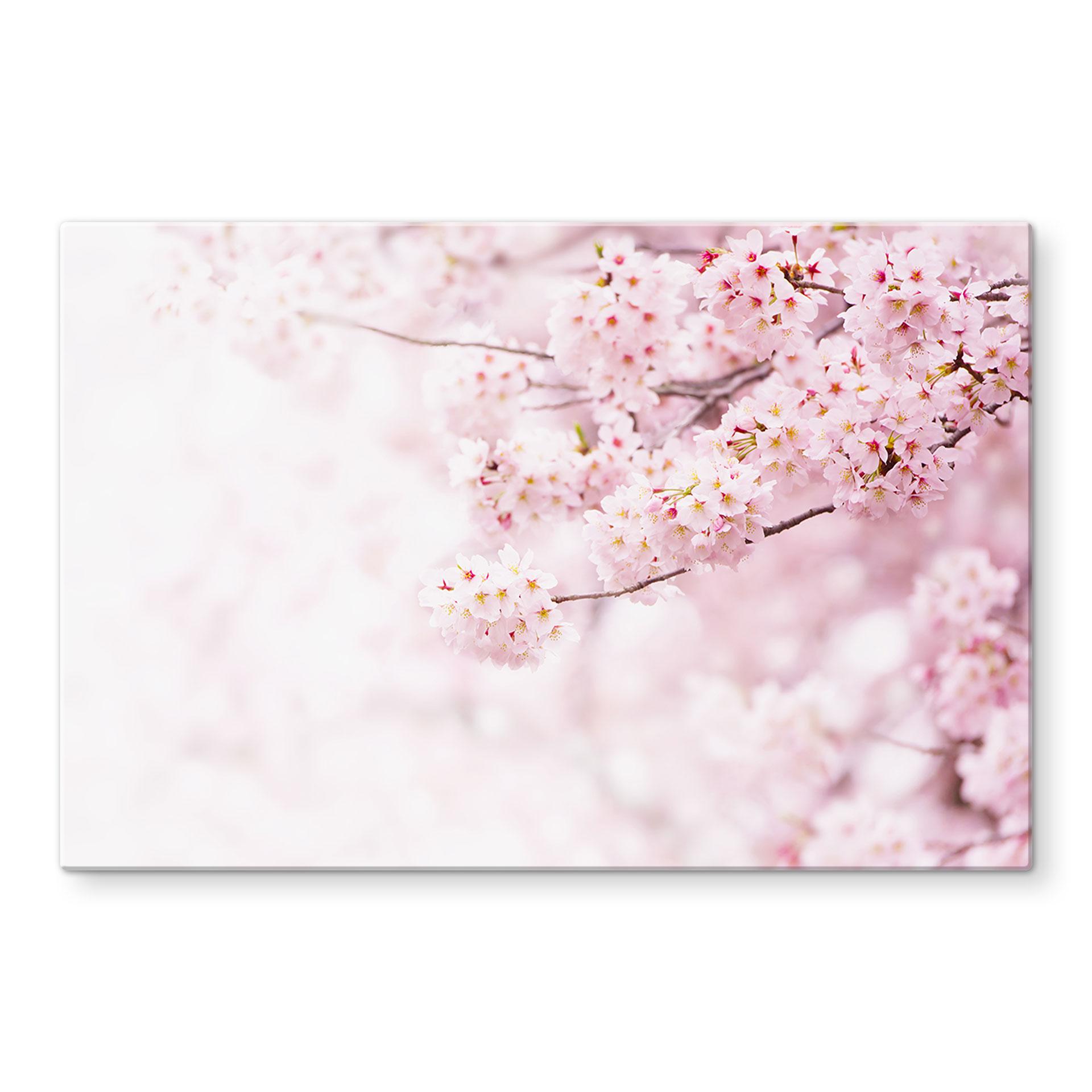 Spritzschutz Zarte Kirschblüten