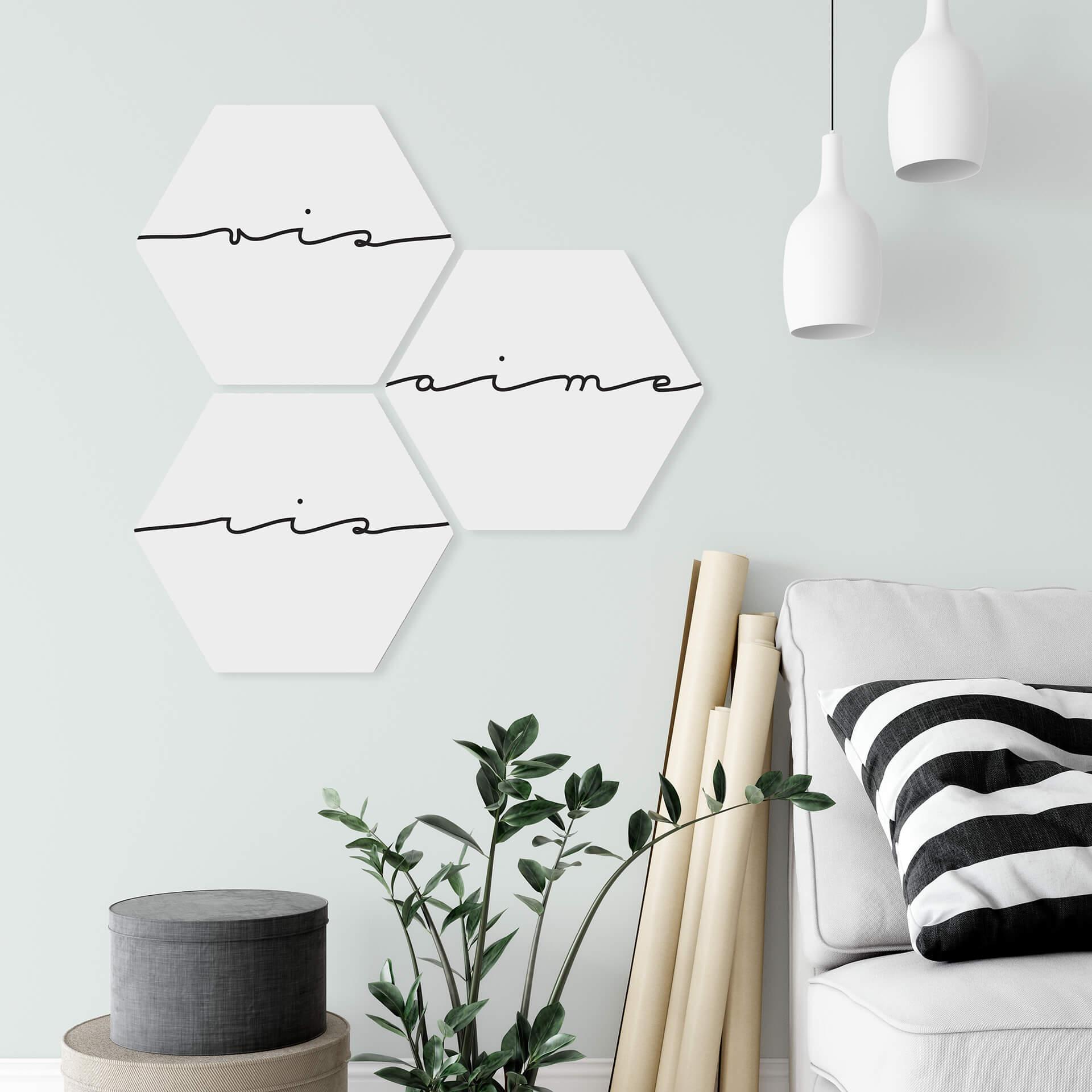Hexagon Dibond Vis ris aime (set van 3)
