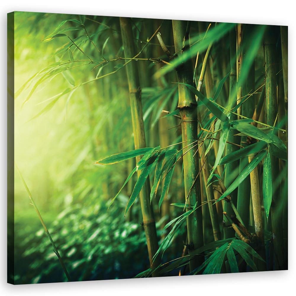 Canvasbillede, jungle bambus planter