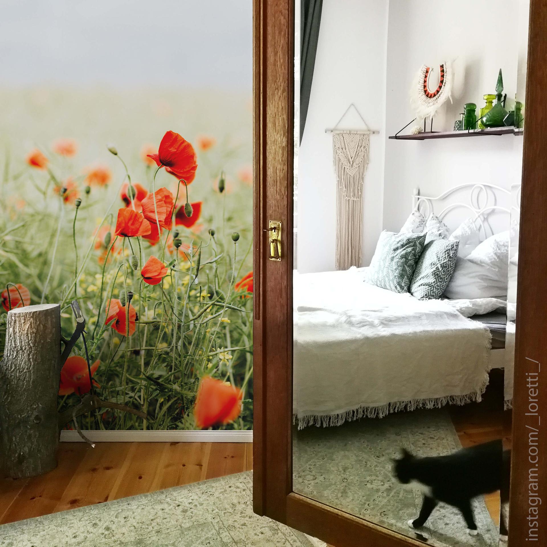Fototapet - Valmueblomster
