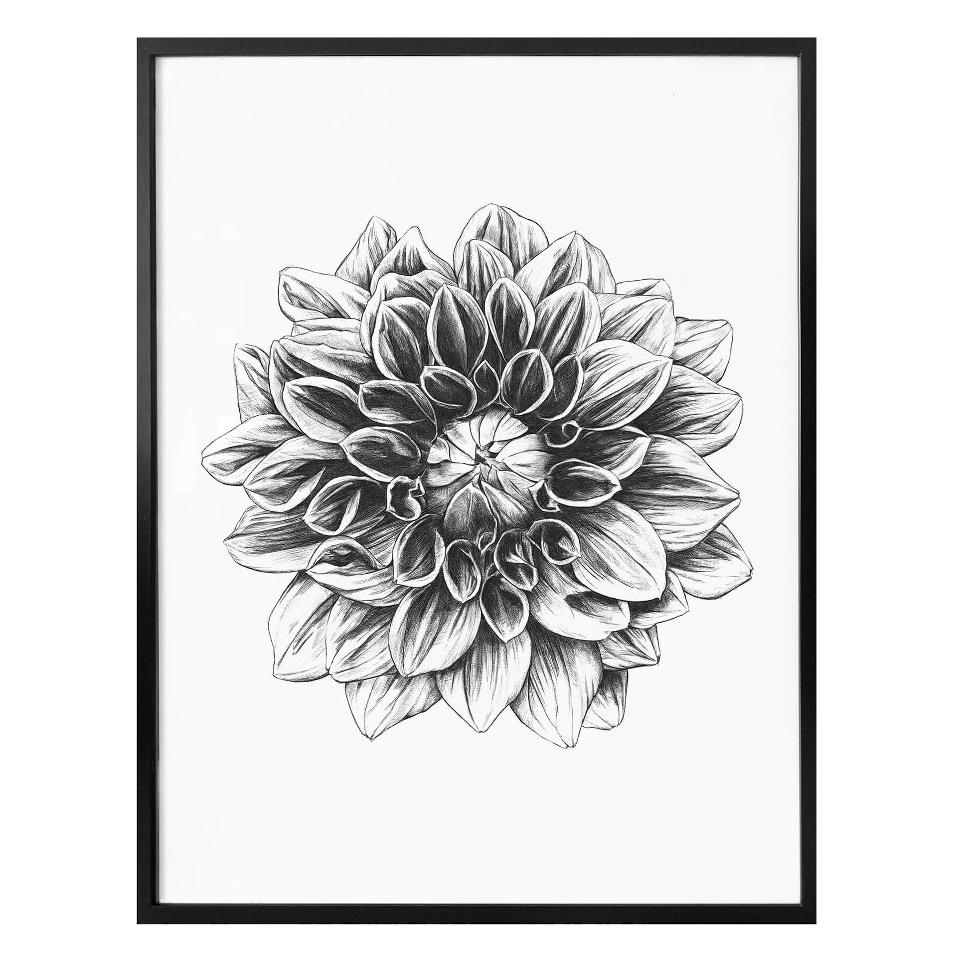 Poster Kools - Dahlia