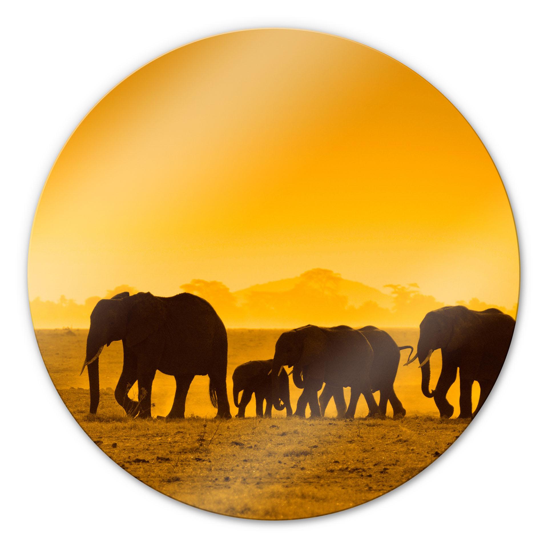 Glasbillede - Elefant Familie