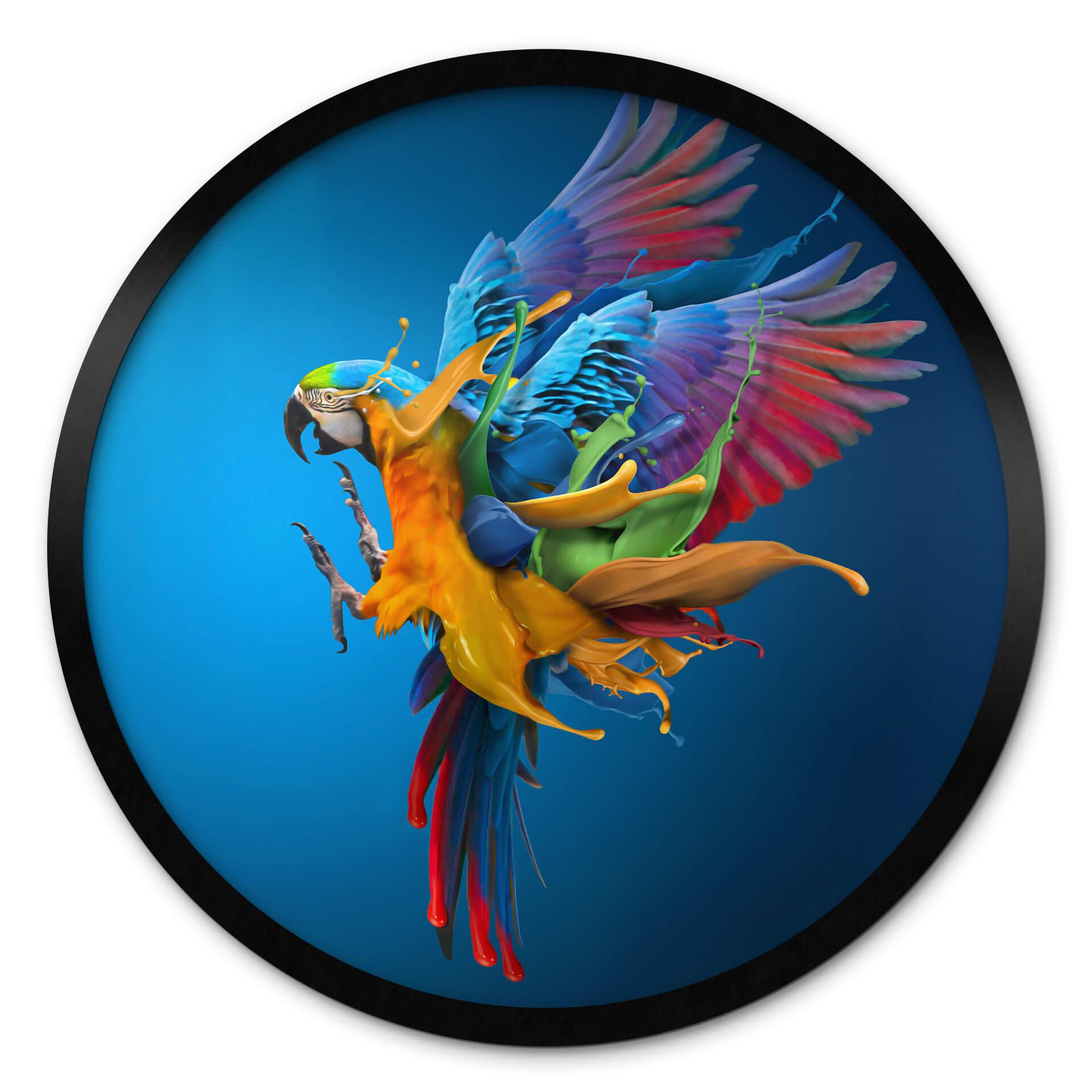 Poster rond Almawash - Le perroquet et le jeu des couleurs