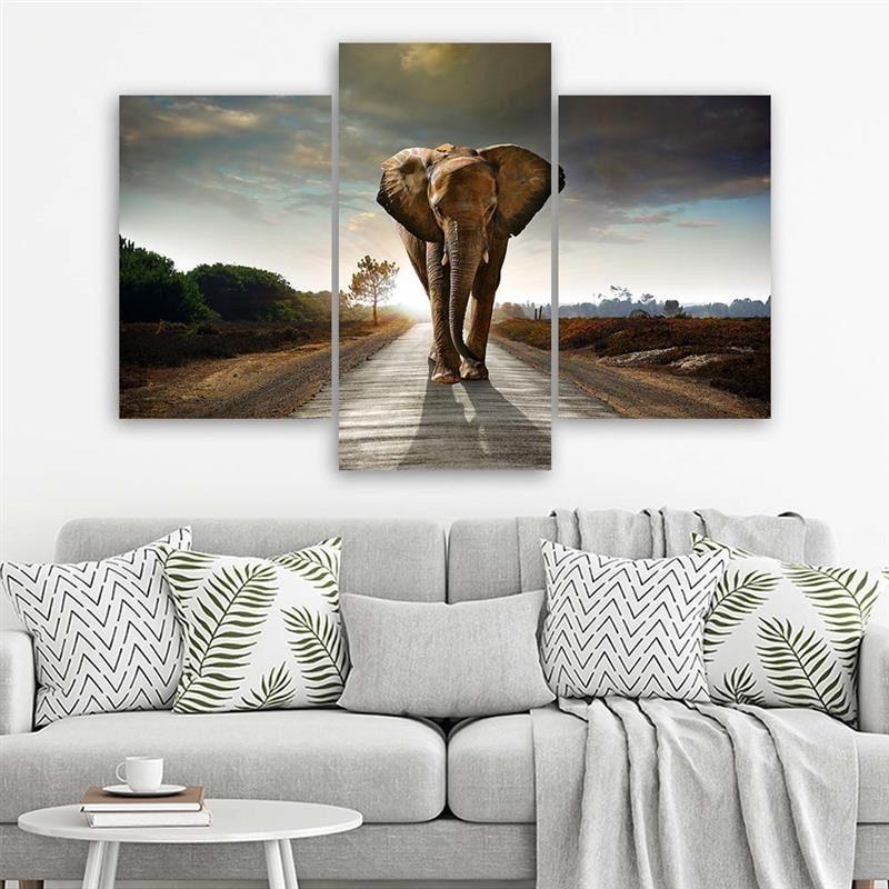 Leinwandbild 3-teilig, Elefant auf der Straße