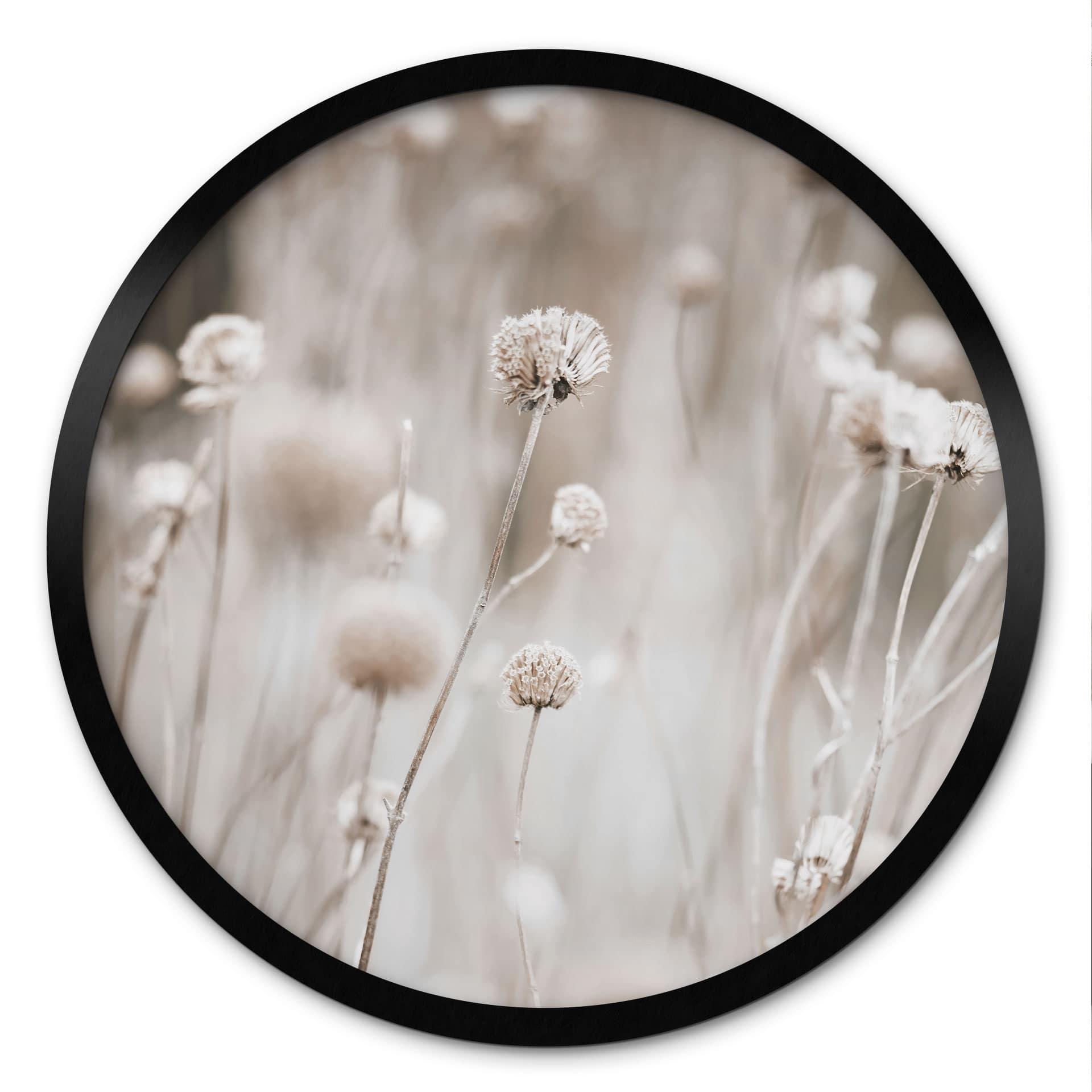 Plakat Tørrede blomster i bløde farver - Annie - Rund