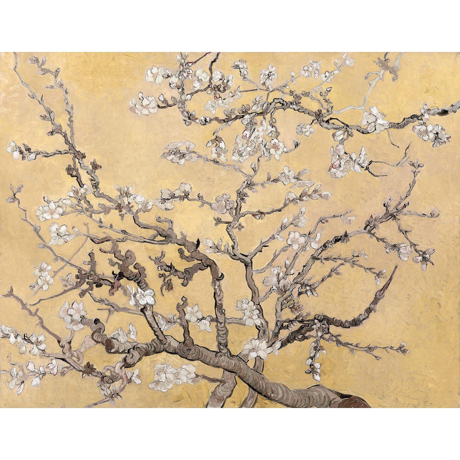 Fotobehang van Gogh - Amandelbloesem crème