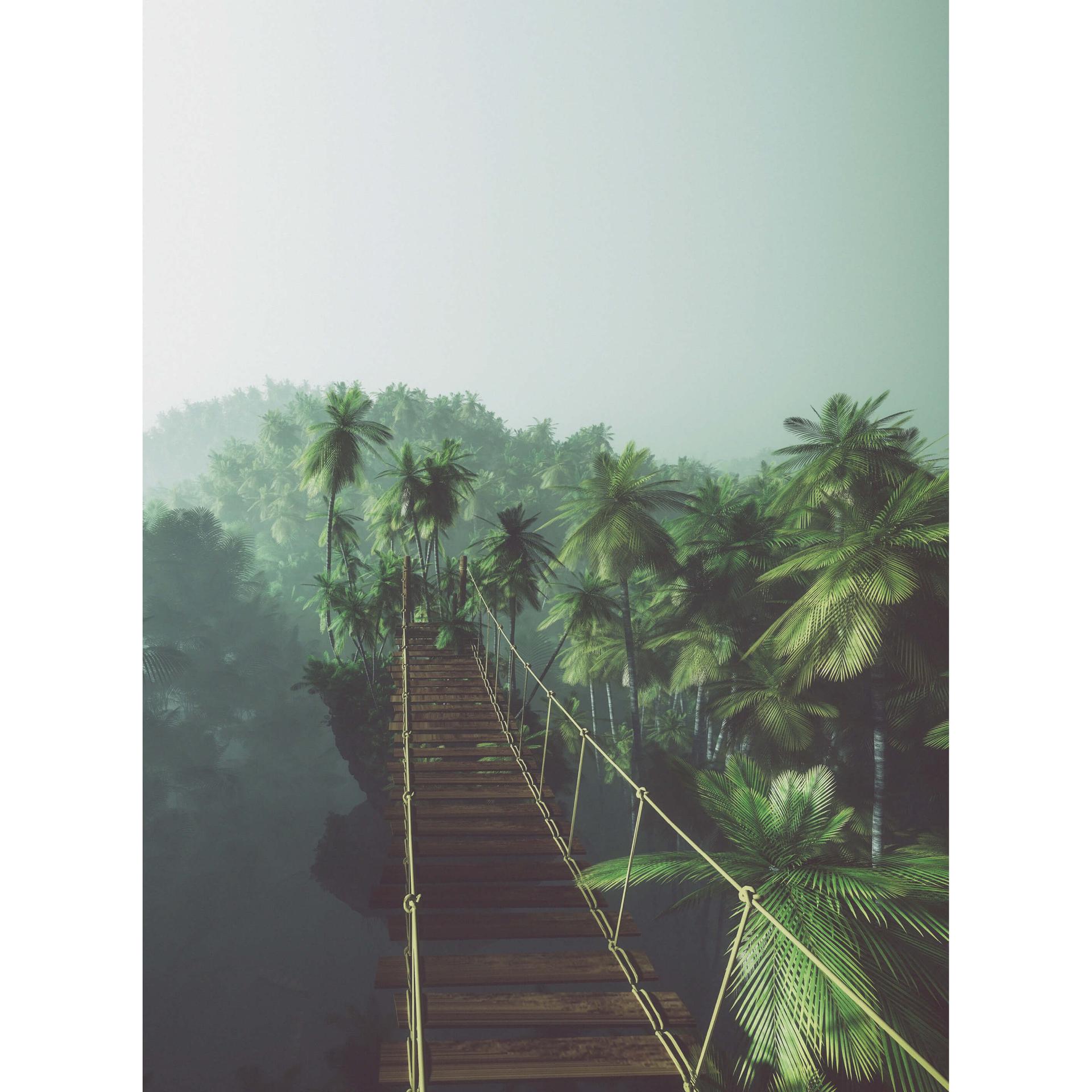 Fotobehang Hangbrug in de jungle