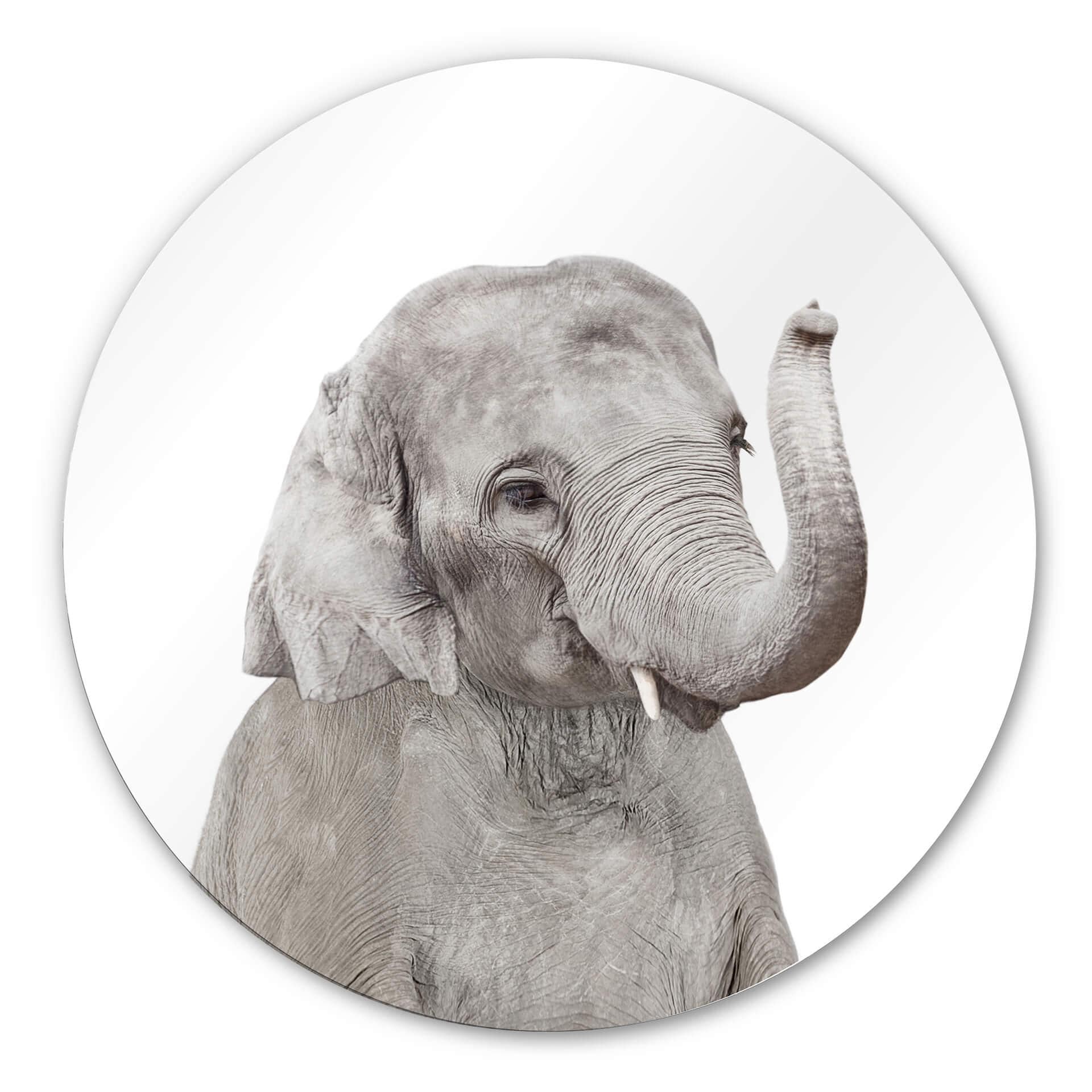 Tableau en alu-Dibond Sisi &Seb - Bébé éléphant - Rond