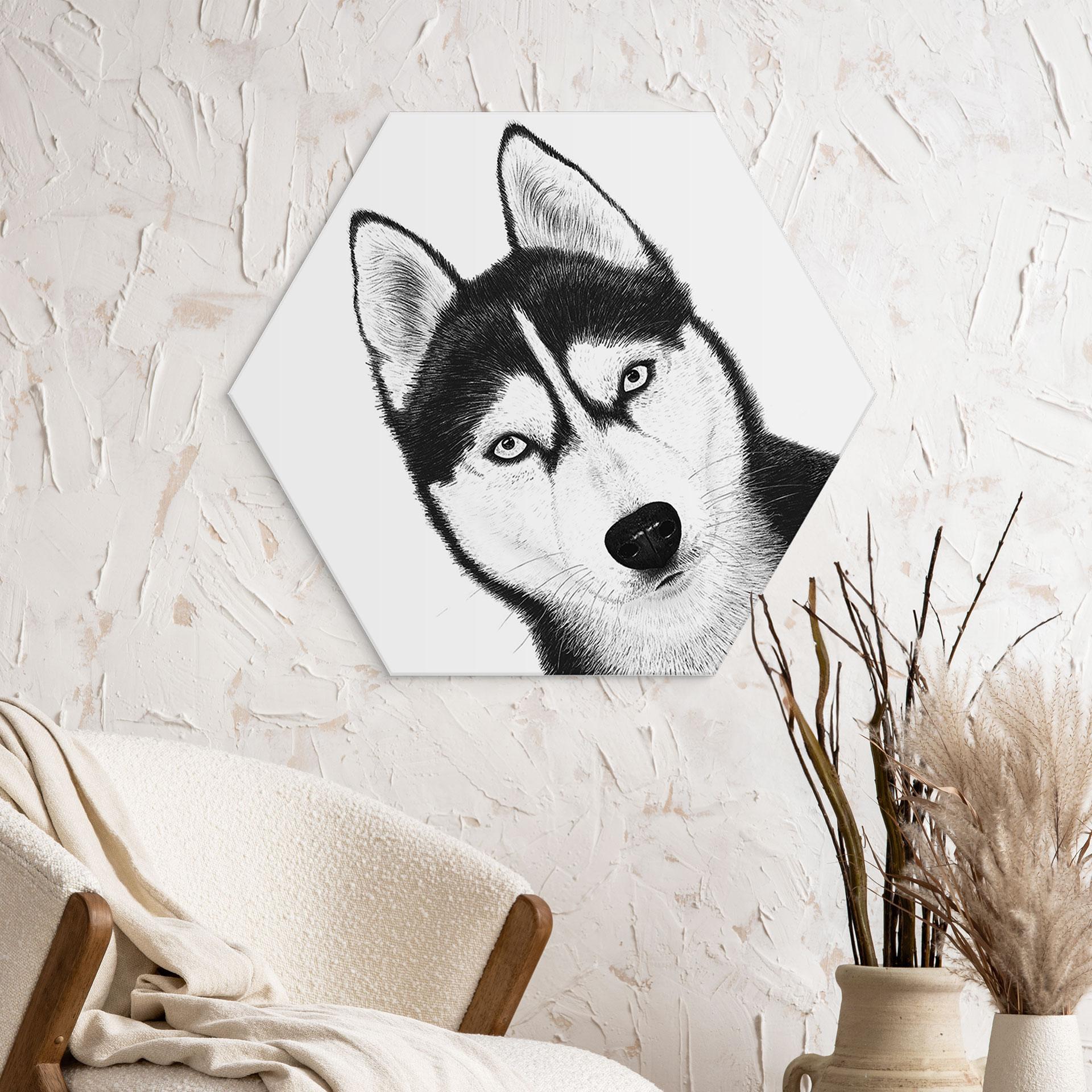 Sekskantet vægmaleri Siberian husky - hundeportræt - Korenkova - aluminium dibond