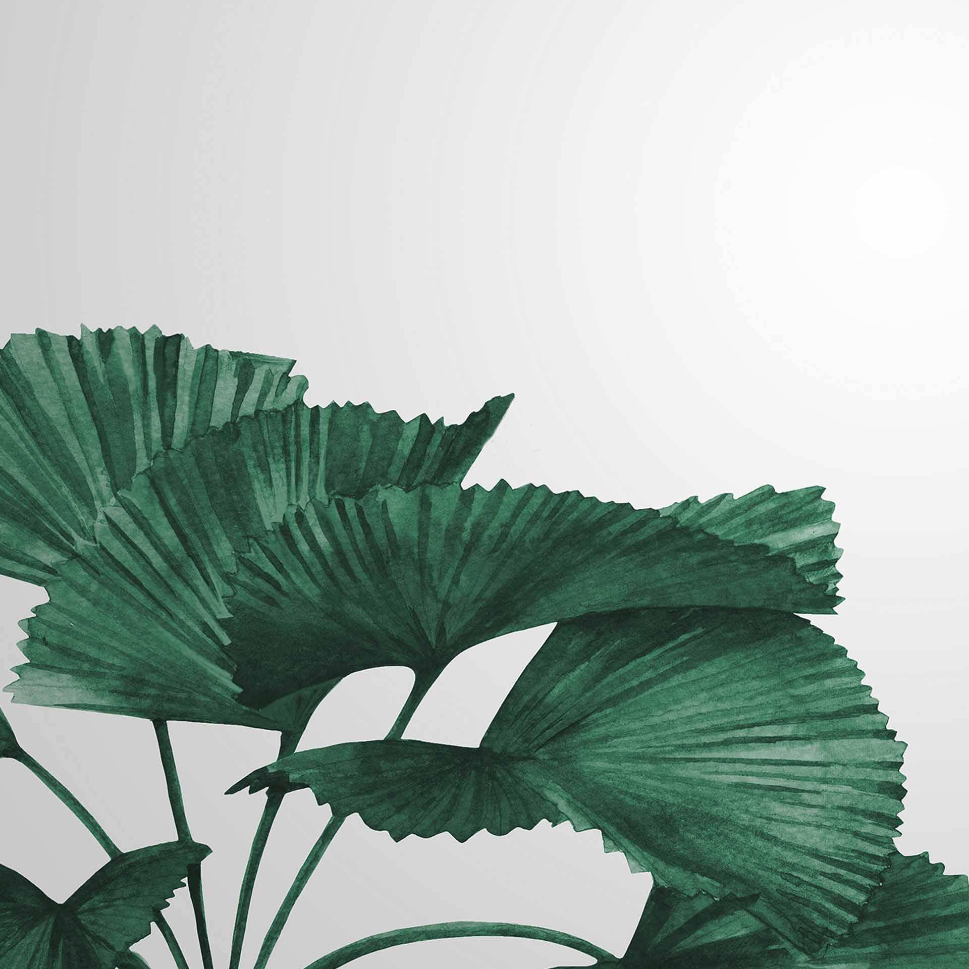Tropical Leaves plant behang in grijs groen - vliesbehang Designwalls 2 - 2,55 x 3,5 m