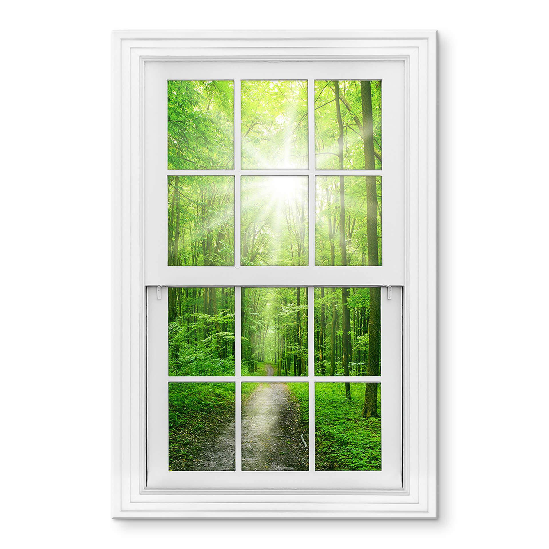 Akrylbillede 3D-vindue - Sunny Forest