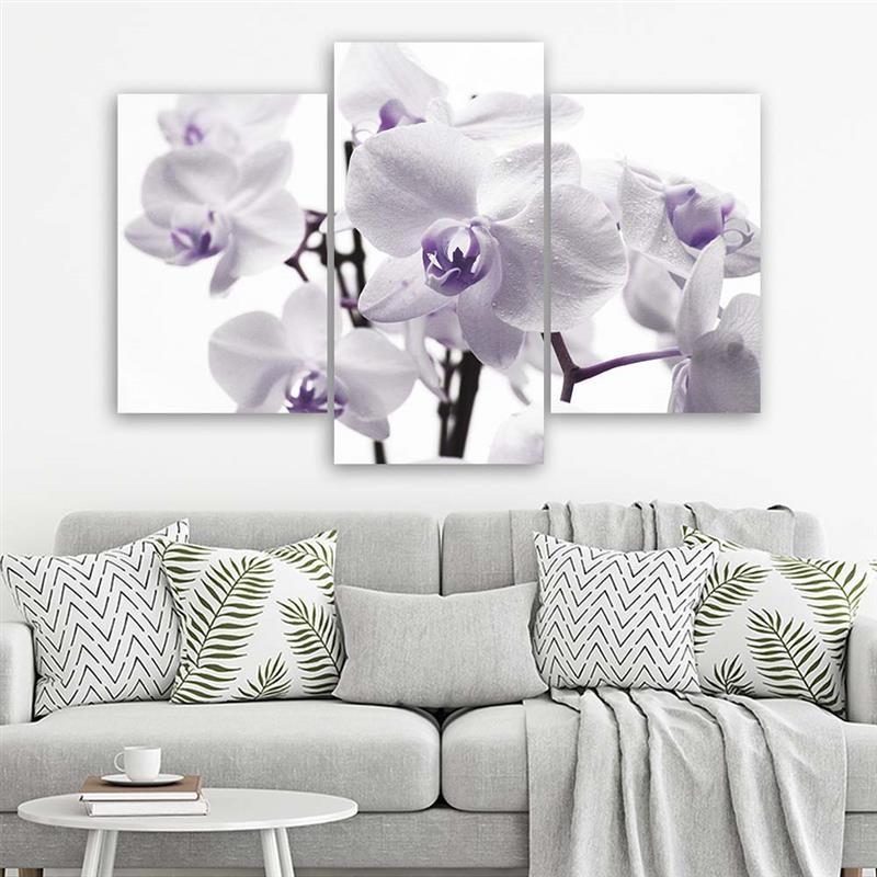 3-delige canvasprint, orchideebloesem paars