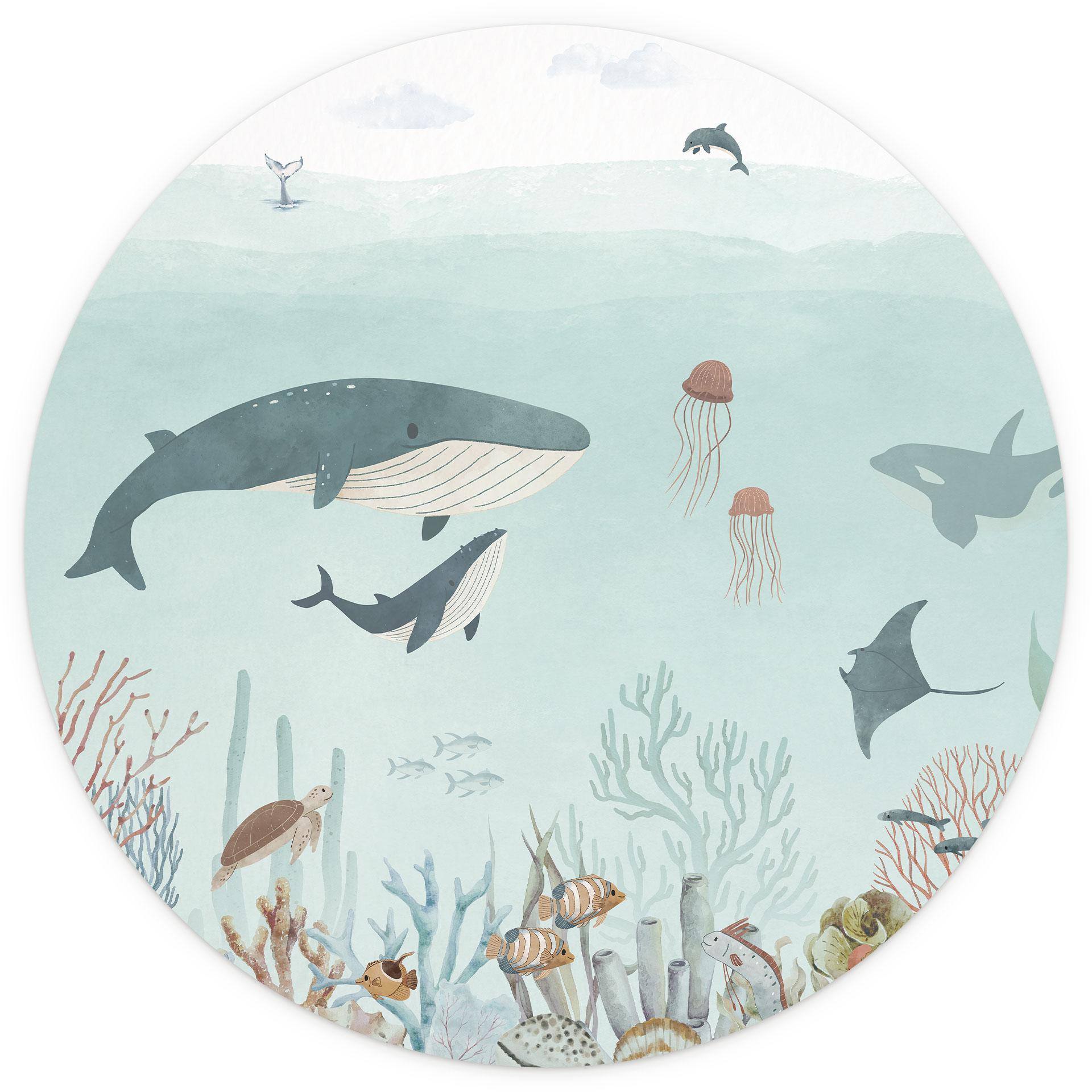 Fotobehang voor kinderkamer - Onderwateravontuur met zeedieren - Oliver Robins - Rond - vliesbehang/