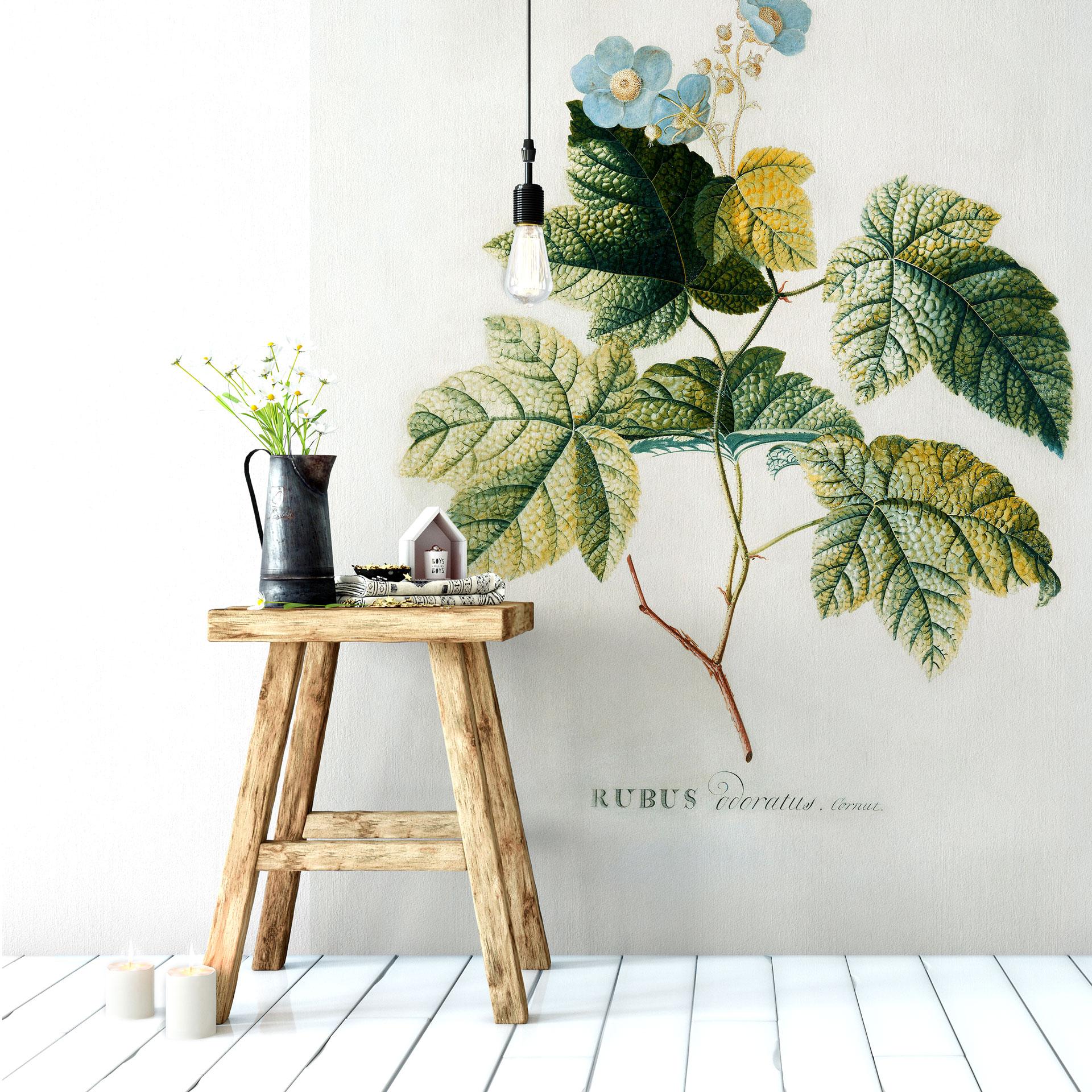 Fototapet - Ehret - Rubus