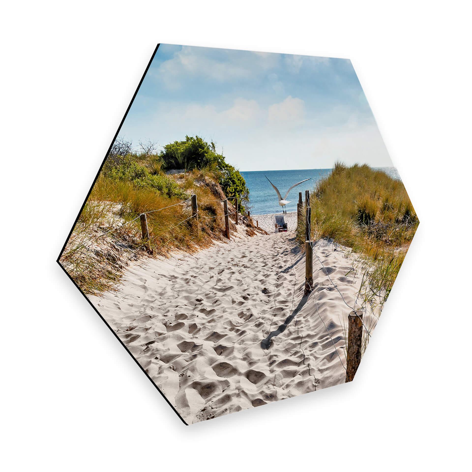 Hexagon Dibond - Way to the Beach
