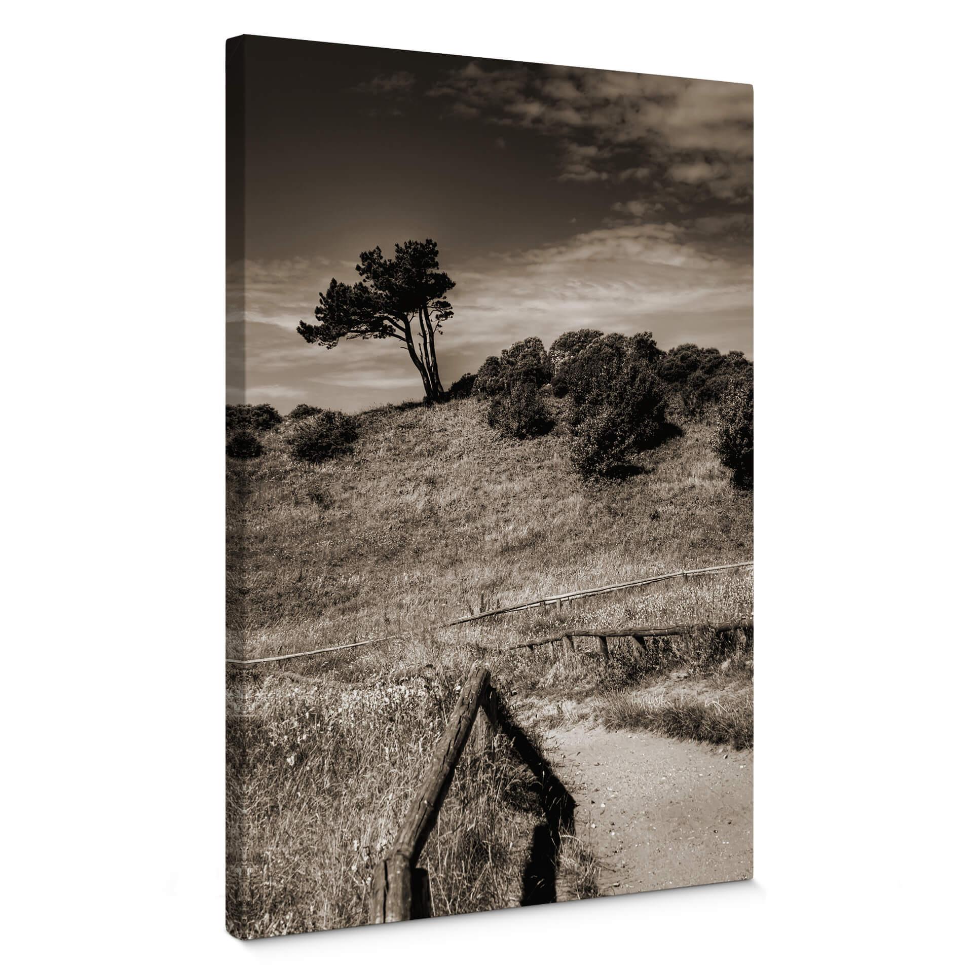 Lienzo Paisaje en Hiddensee