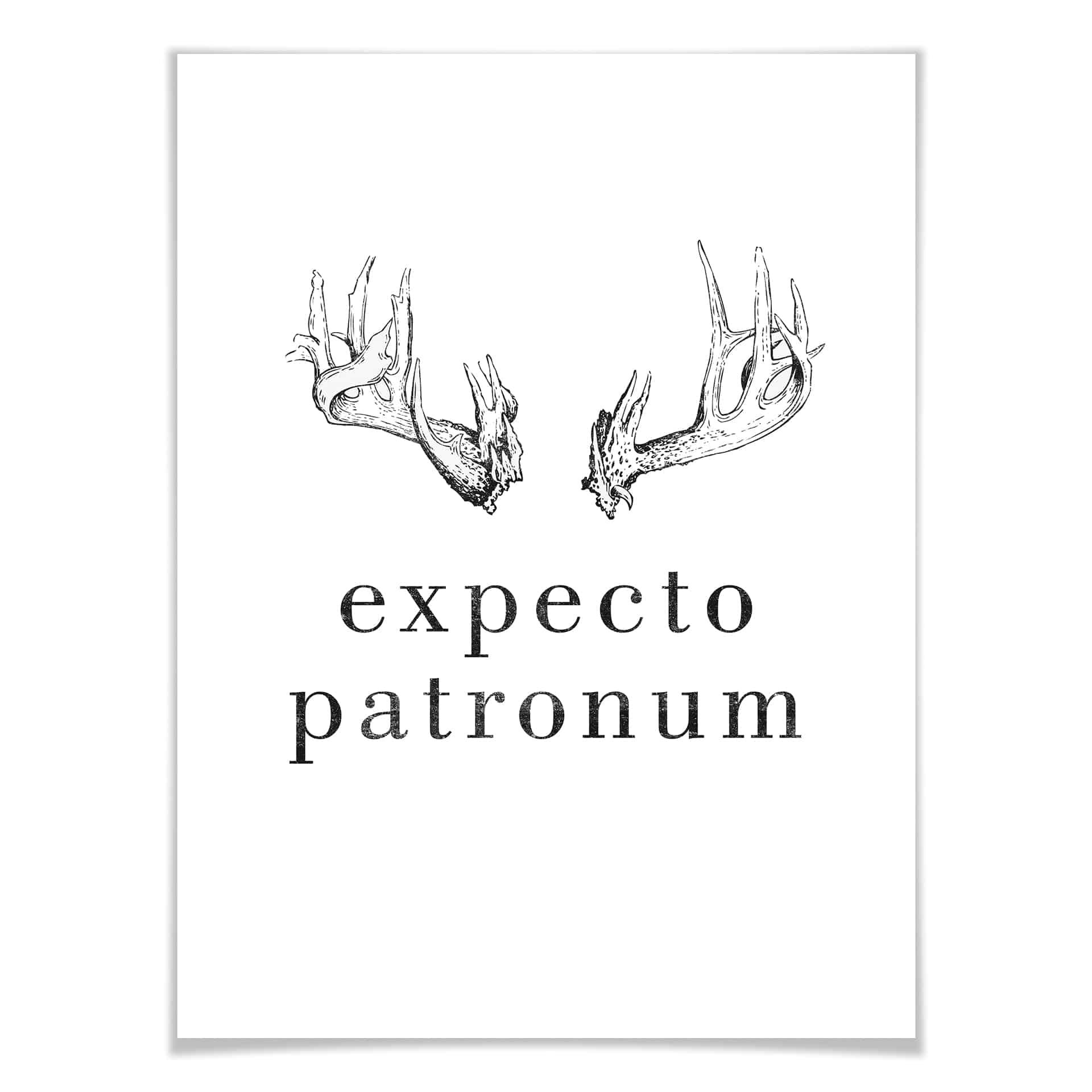 Plakat - Expecto Patronum