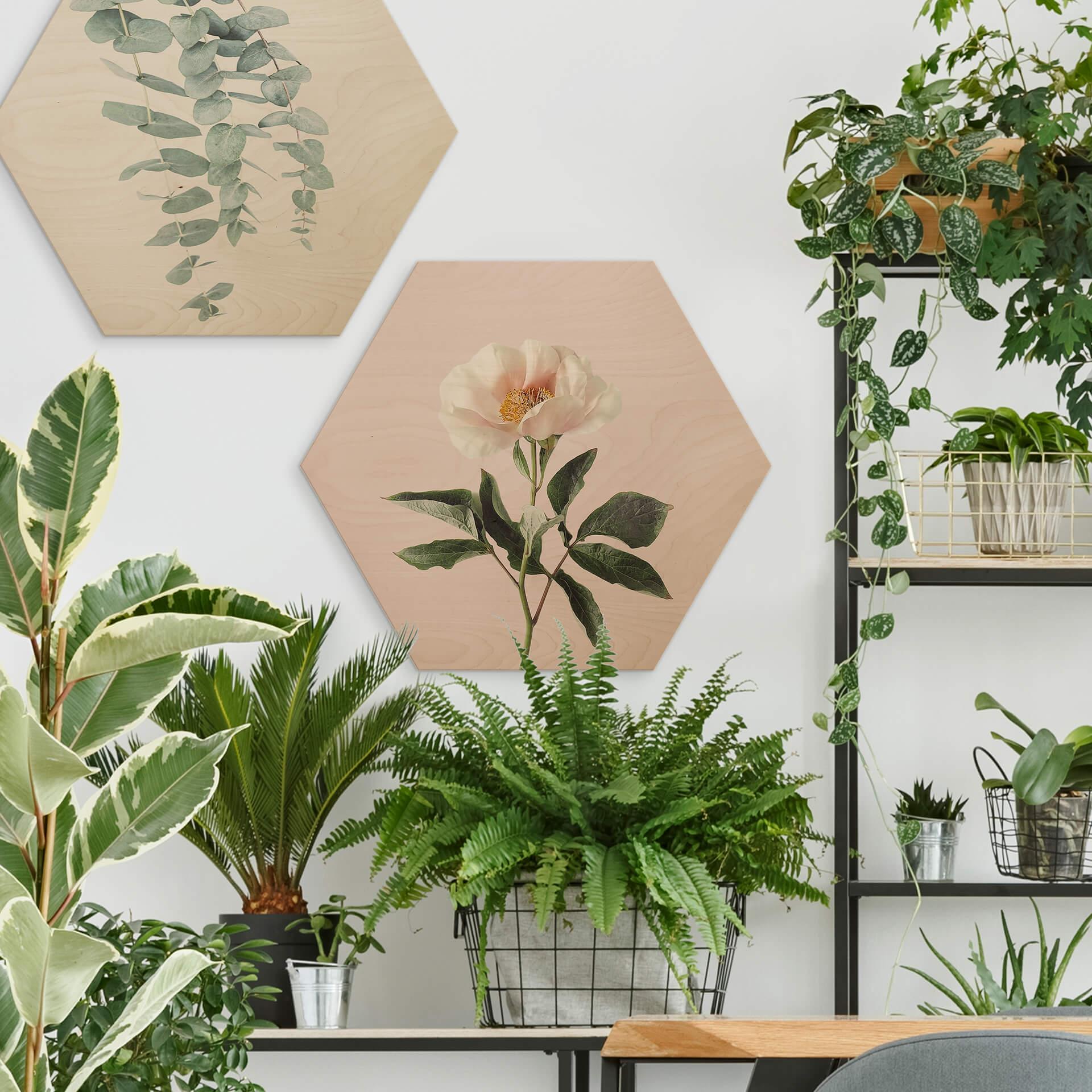 Hexagon Hout Sisi & Seb - Delicate Flower