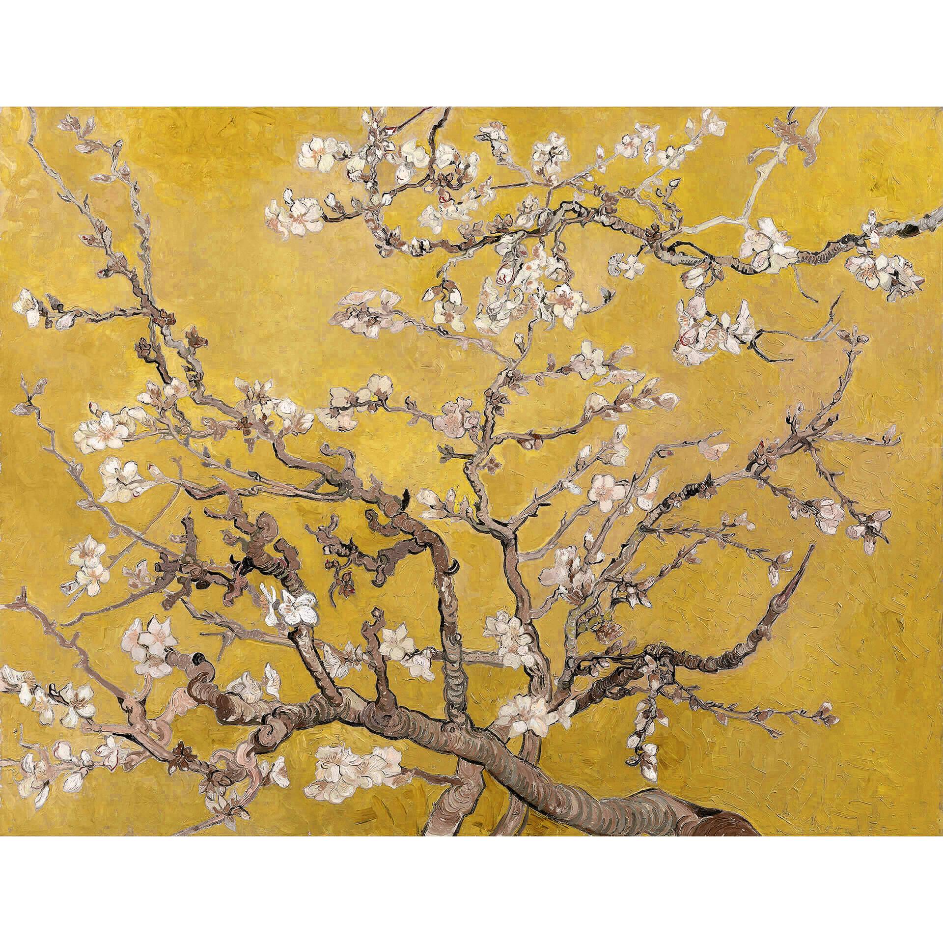 Fotobehang van Gogh - Amandelbloesem Oker