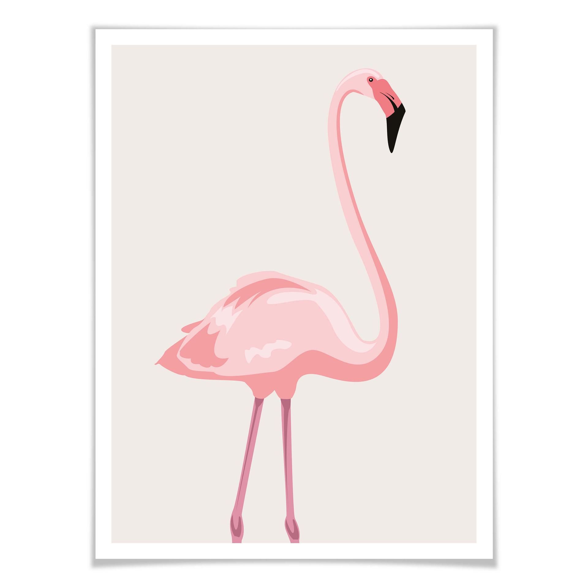 Plakat Flamingo 01
