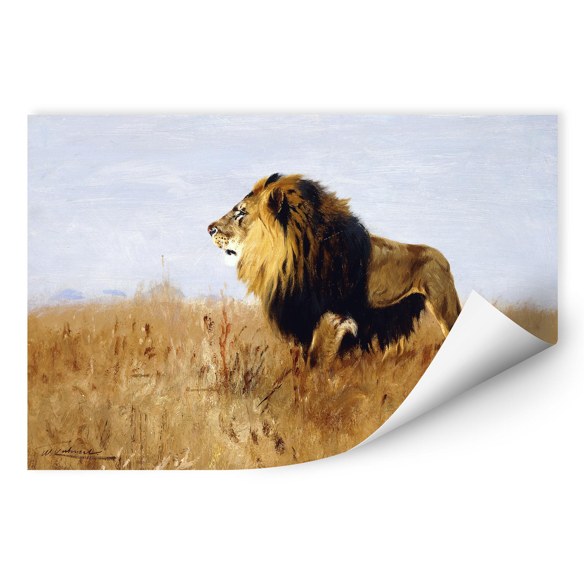 Zelfklevende Poster - Kuhnert - Lions